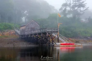 new-1114.webp