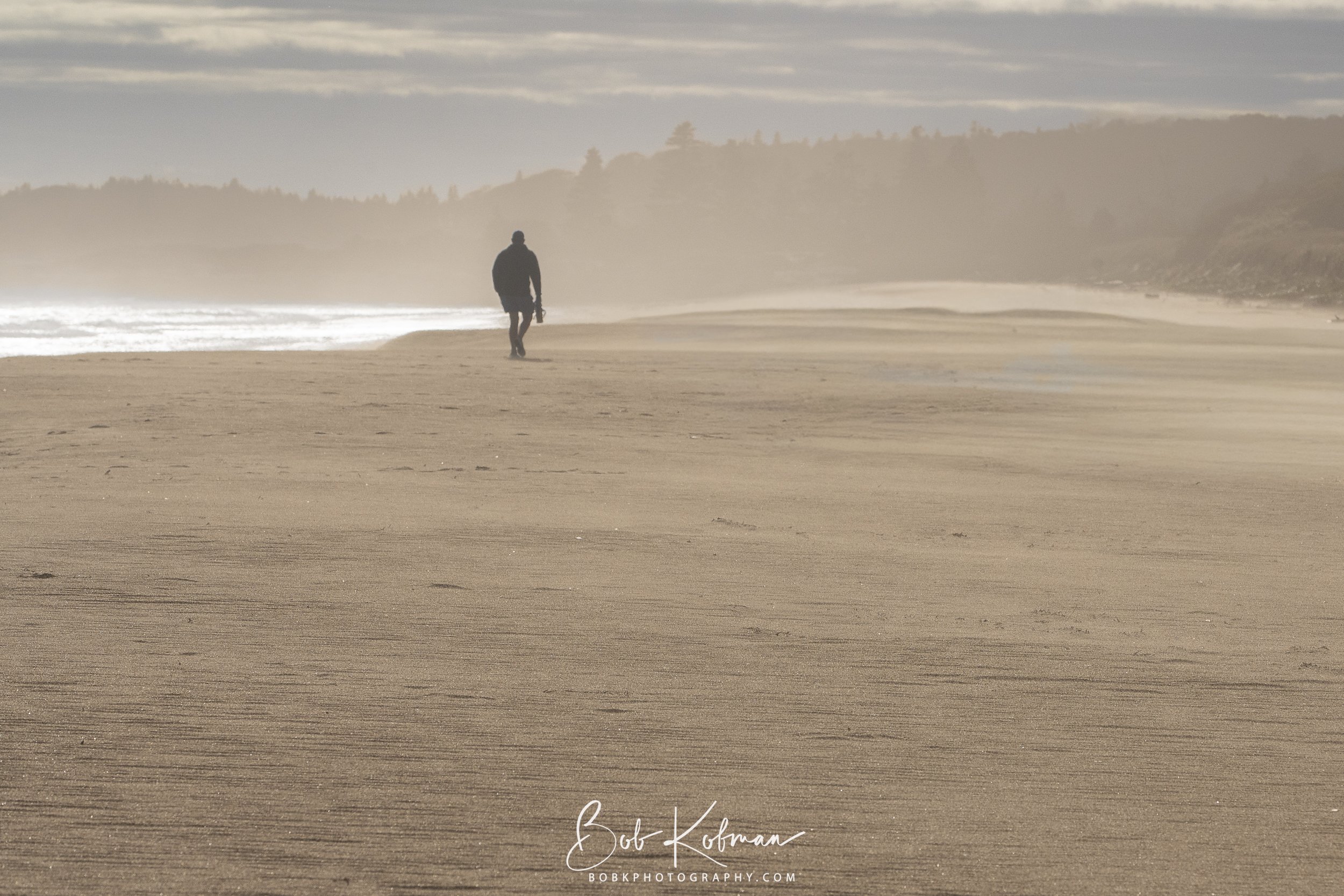 maineRecent-2.jpg