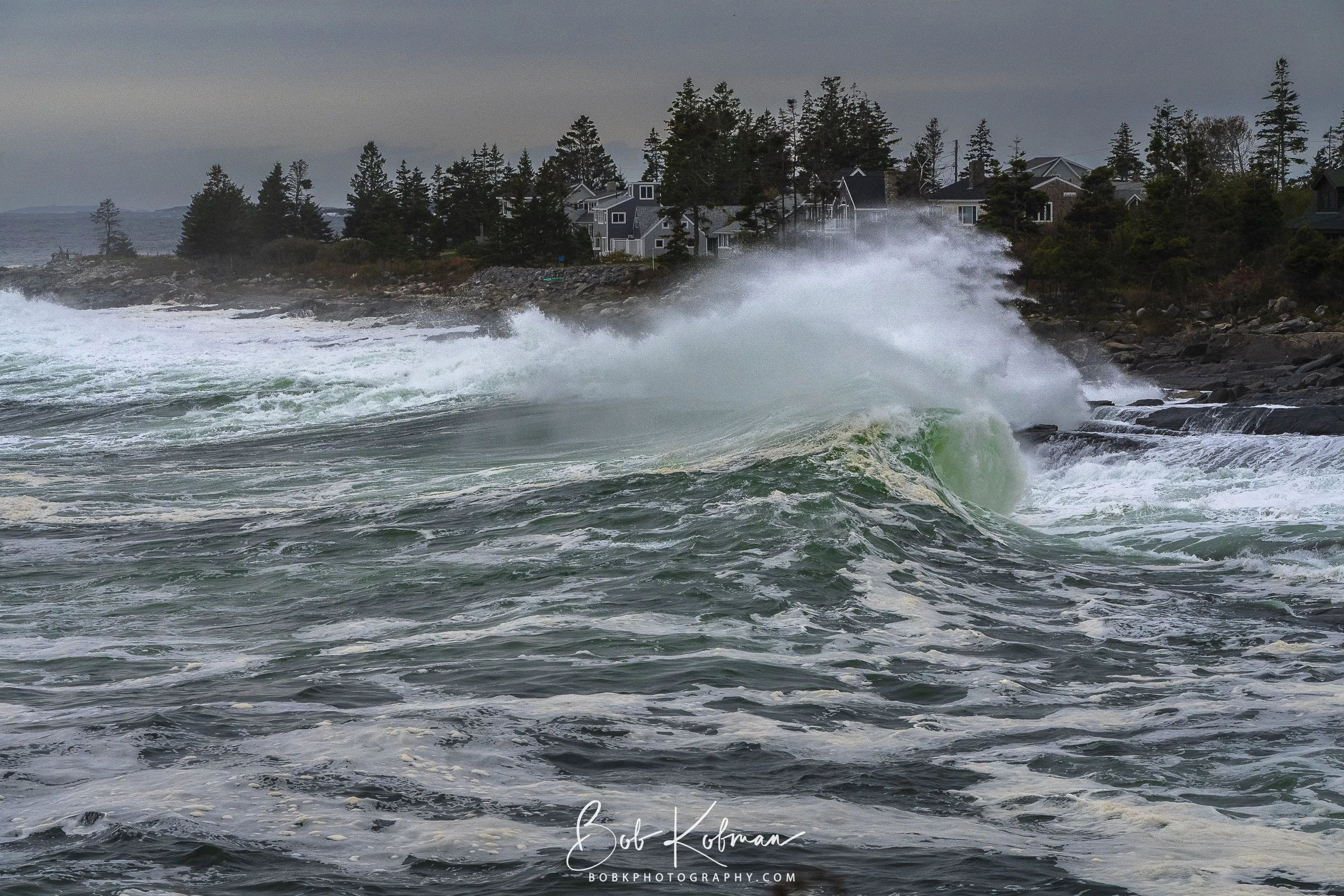 maineRecent-1.jpg