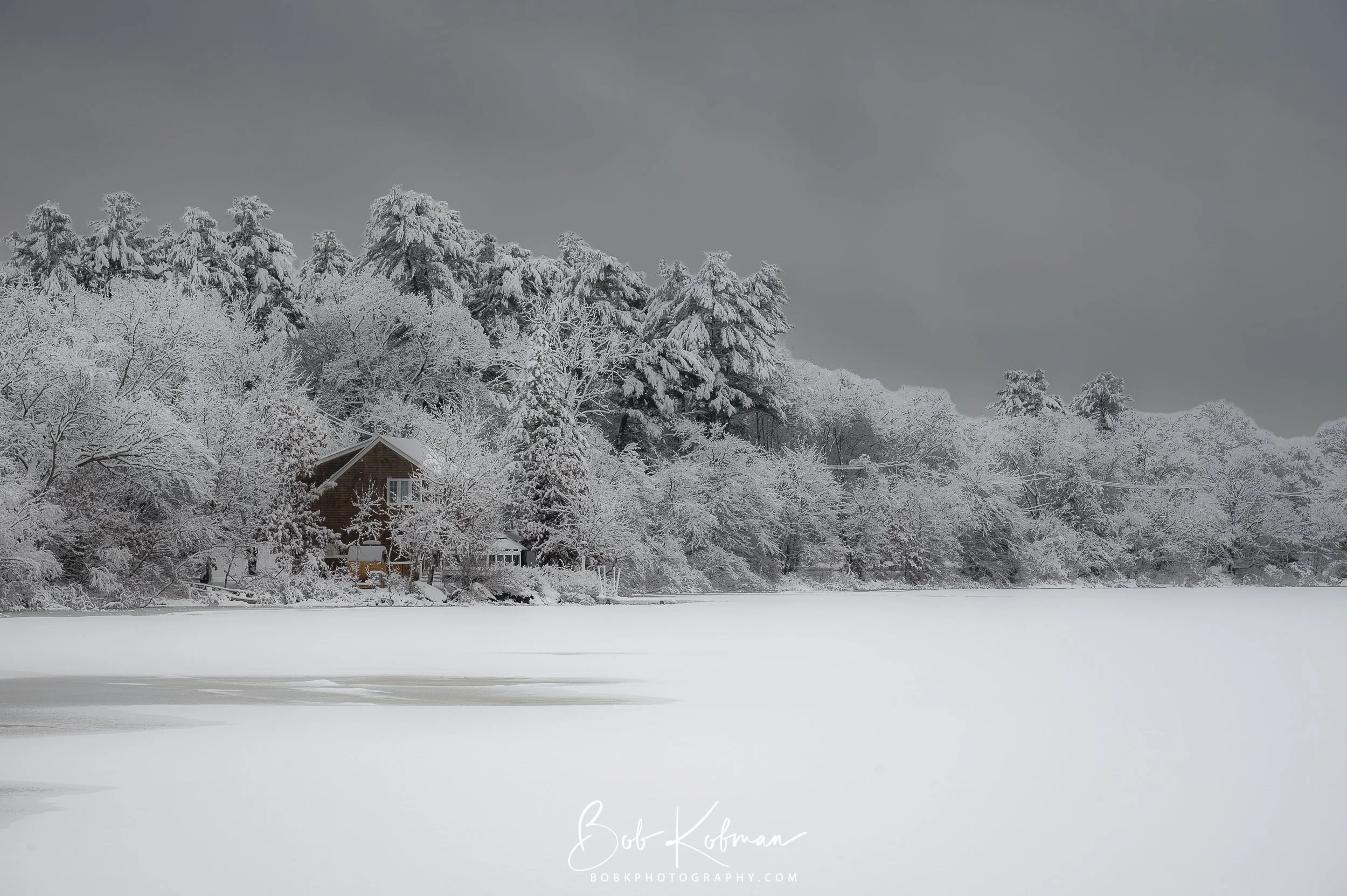maineRecent-5.jpg