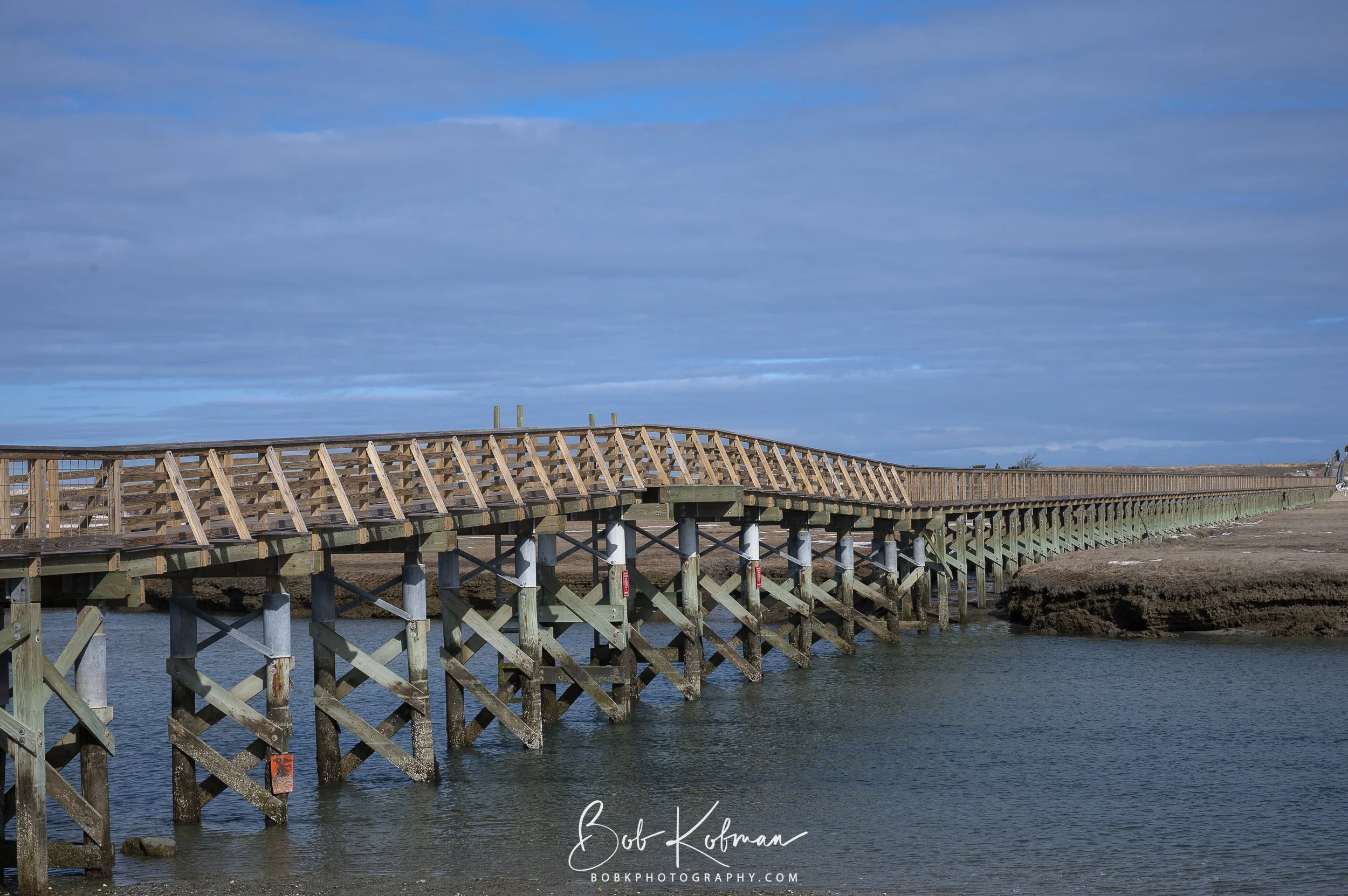 maineRecent-7.jpg