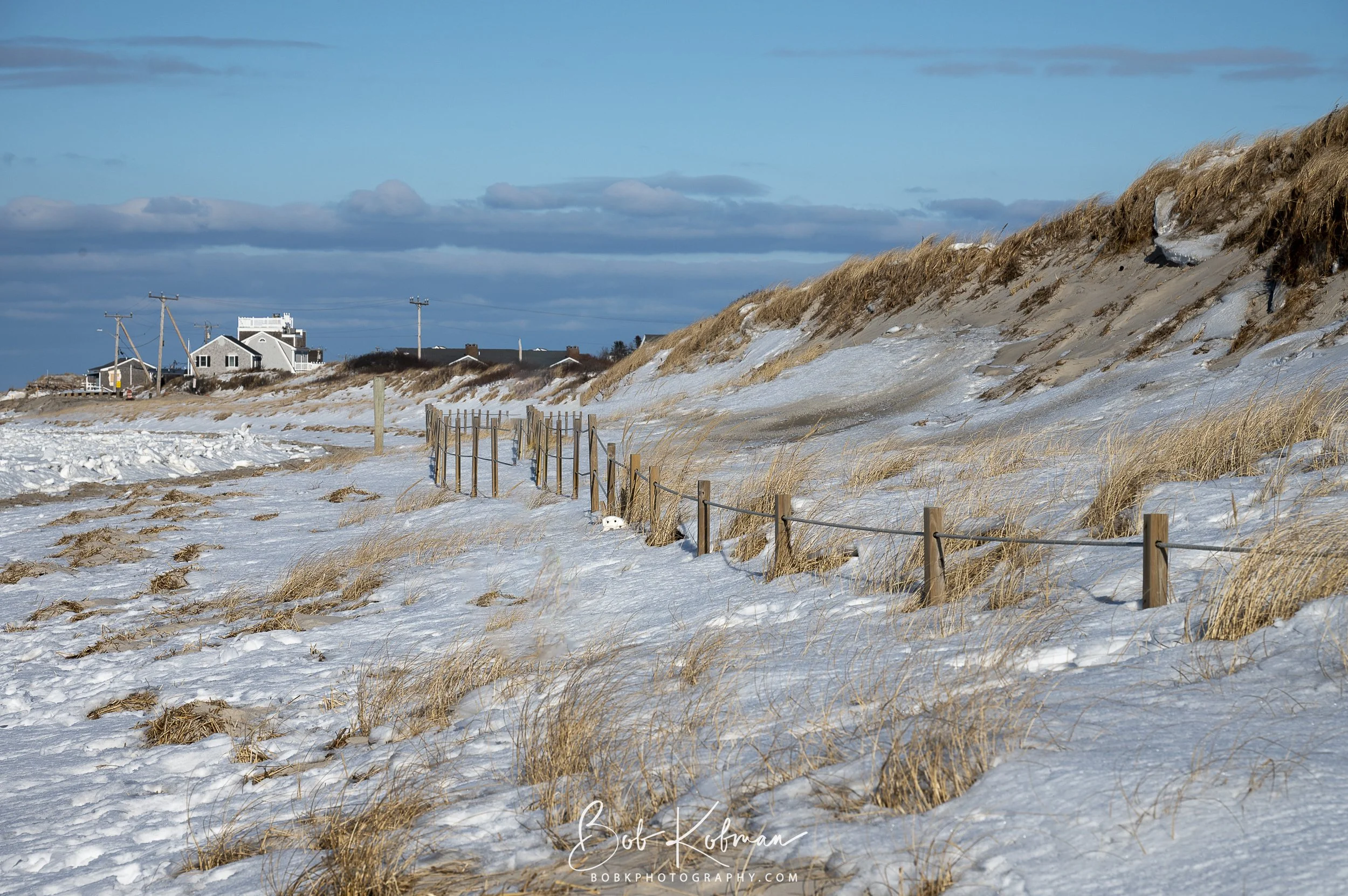 maineRecent-11.jpg