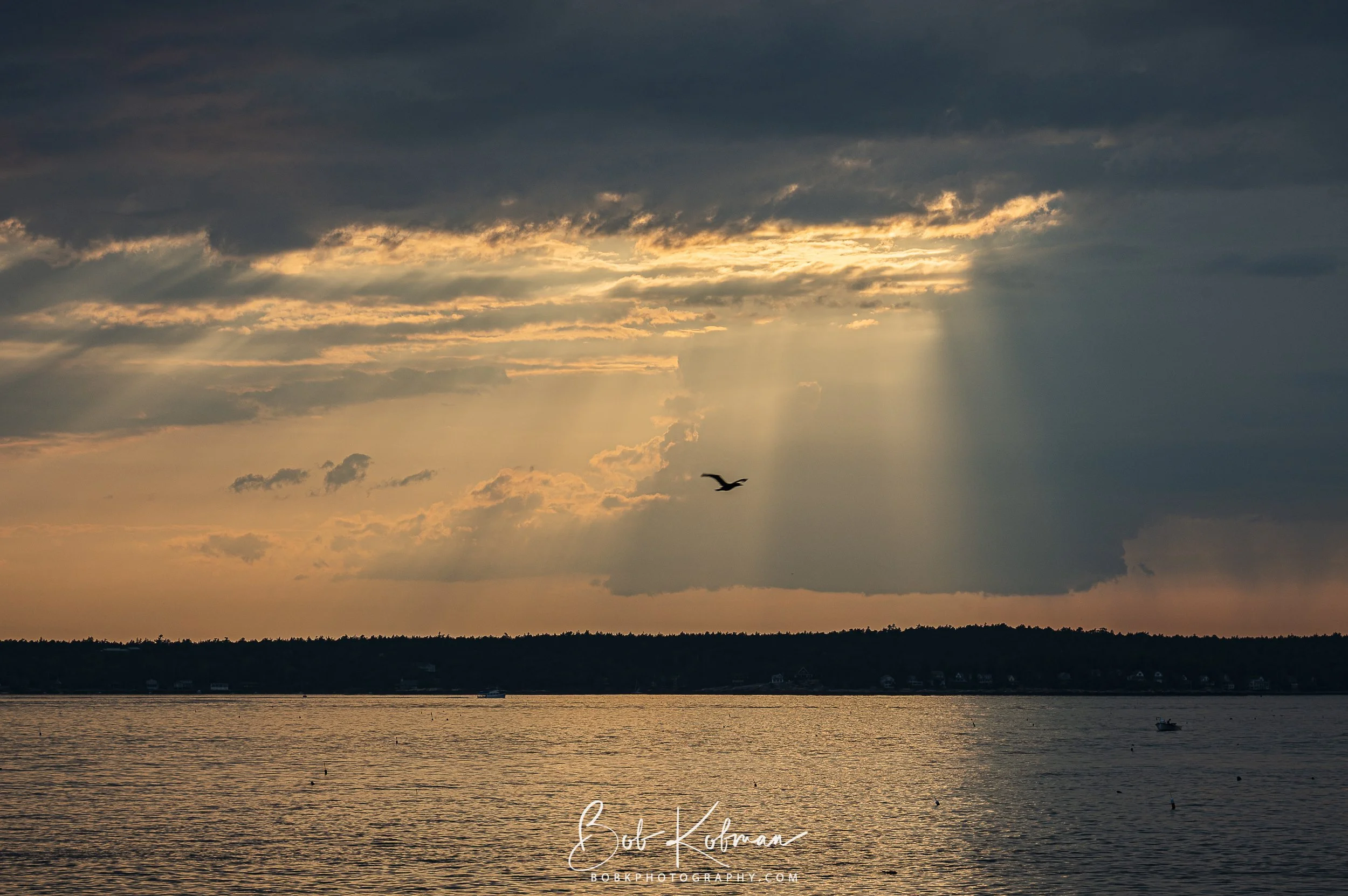 maineRecent-17.jpg
