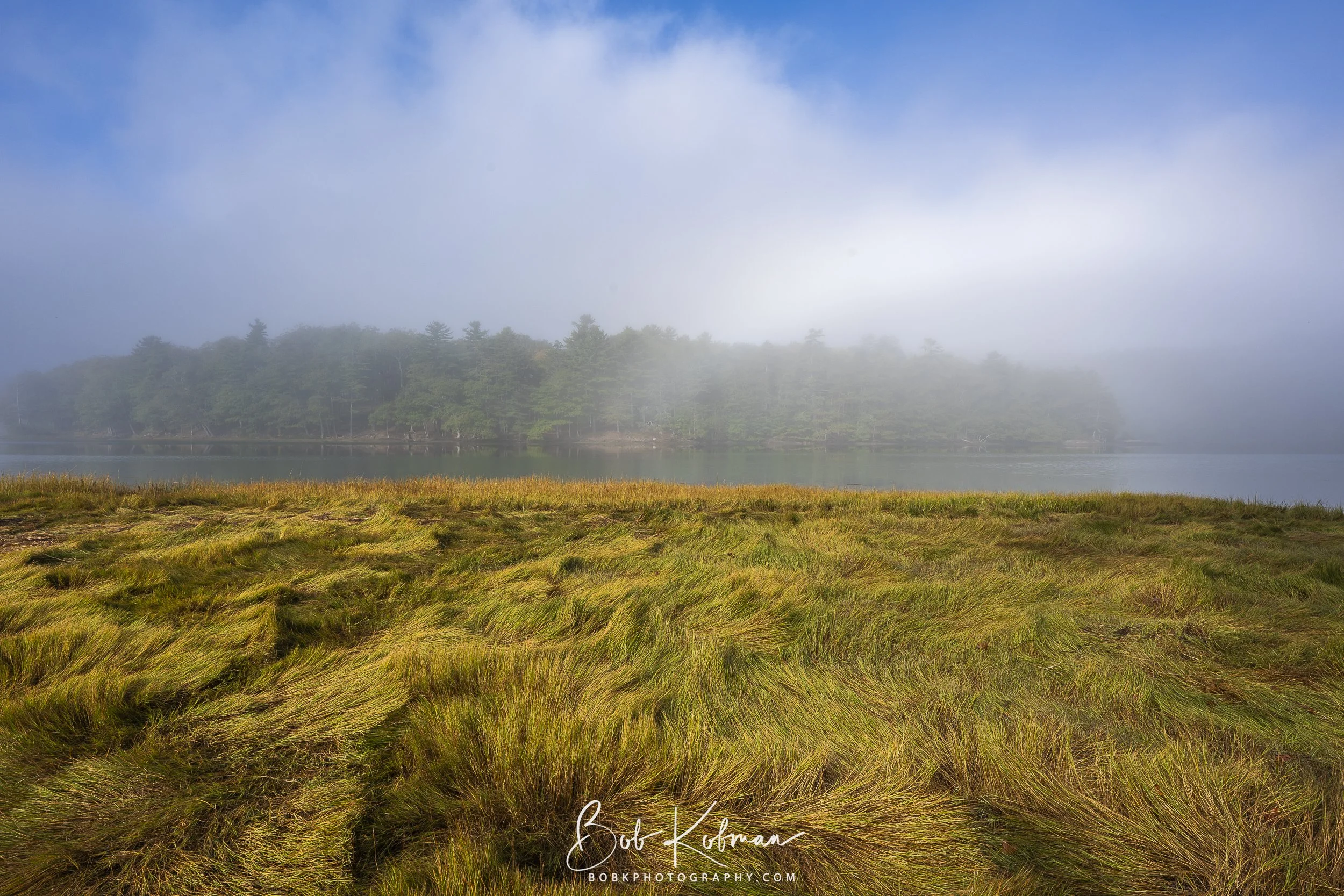 maineRecent-20.jpg