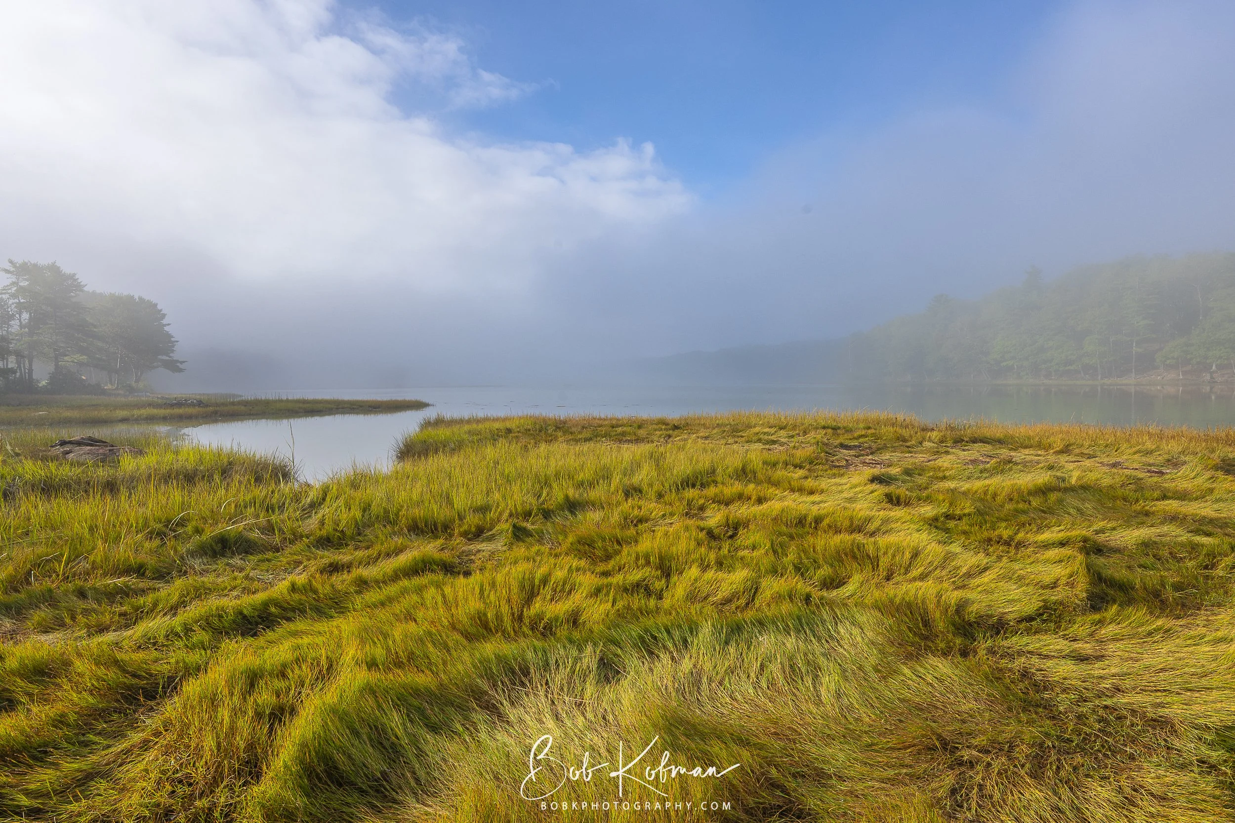 maineRecent-21.jpg