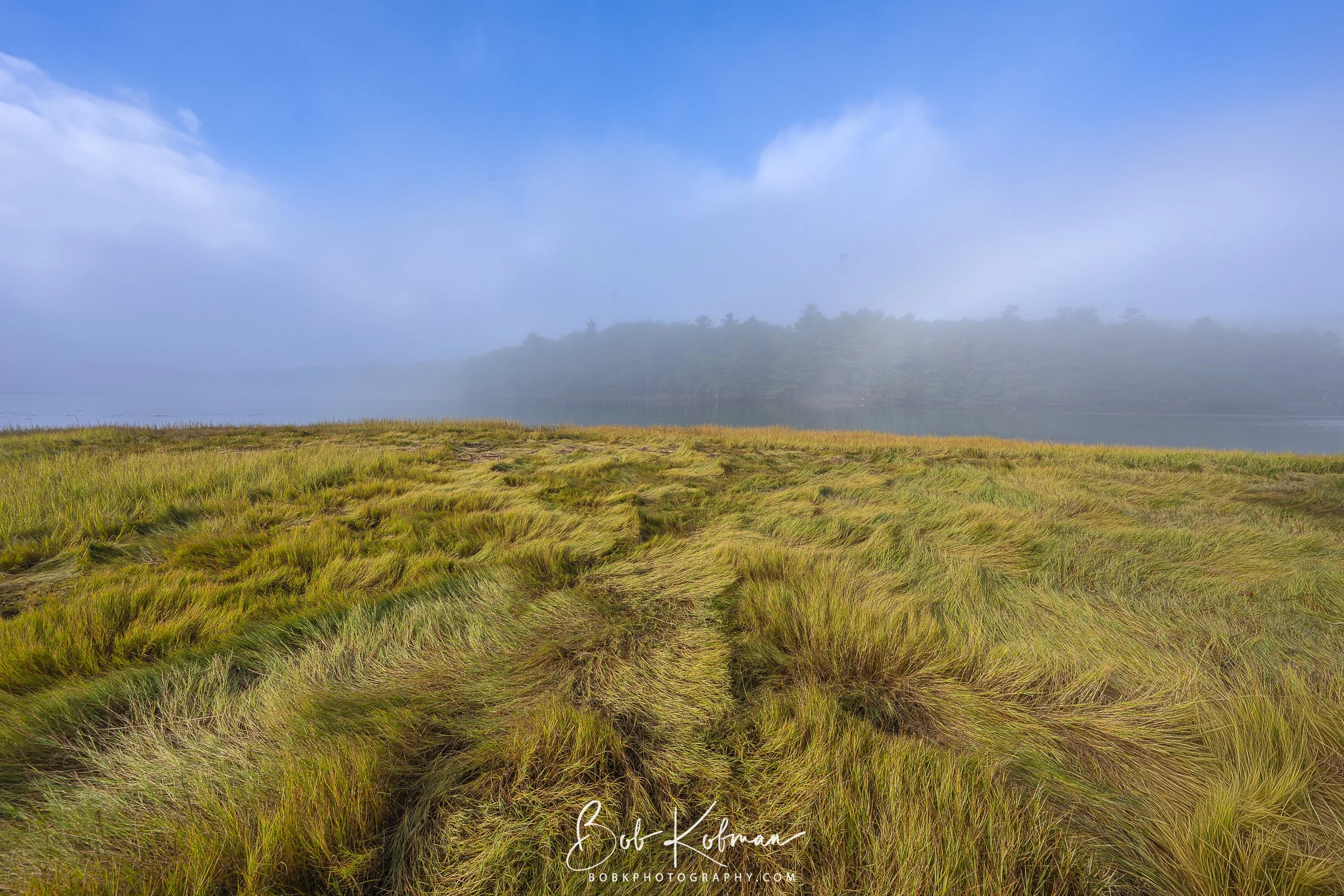 maineRecent-22.jpg