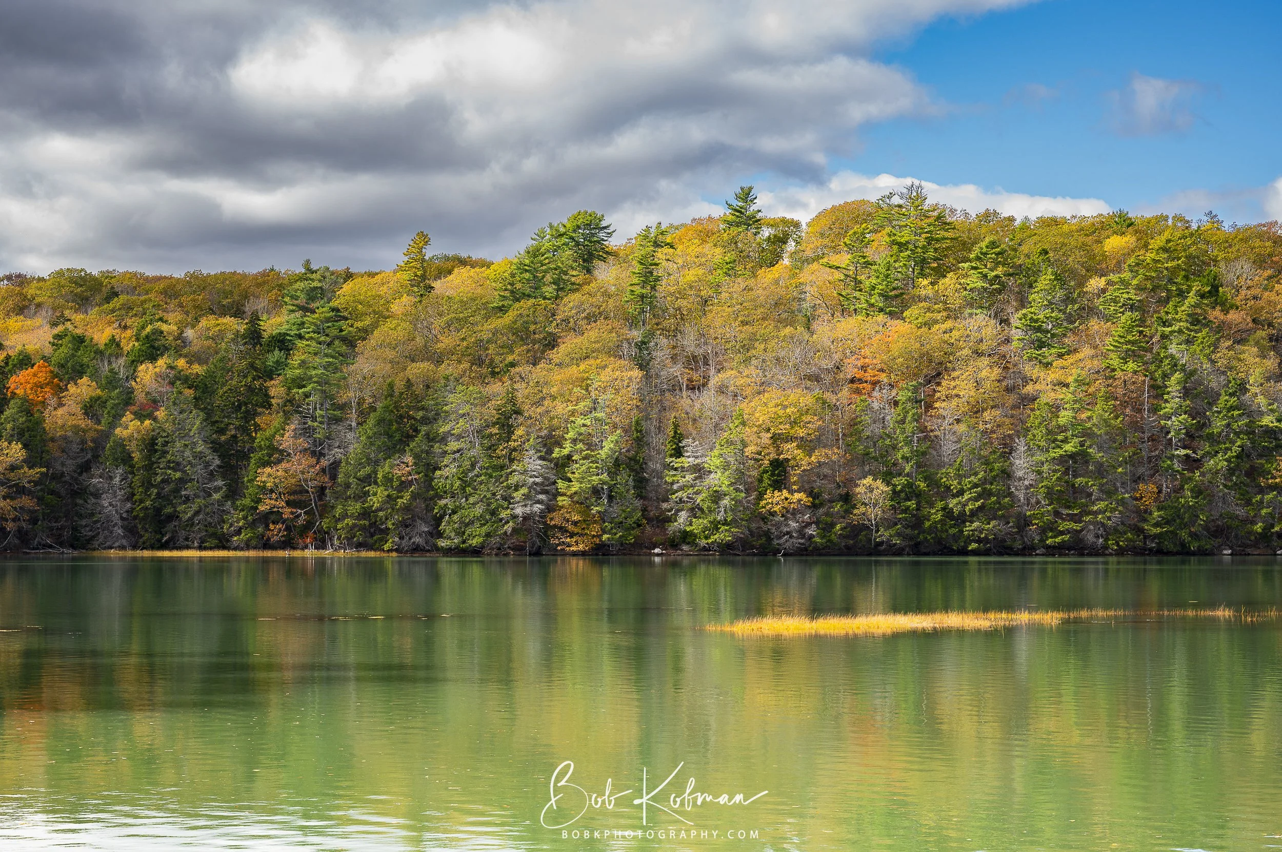 maineRecent-23.jpg