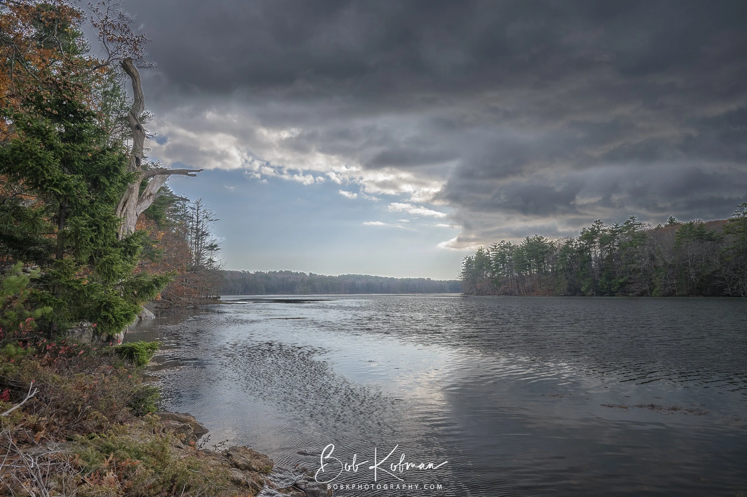maineRecent-26.jpg