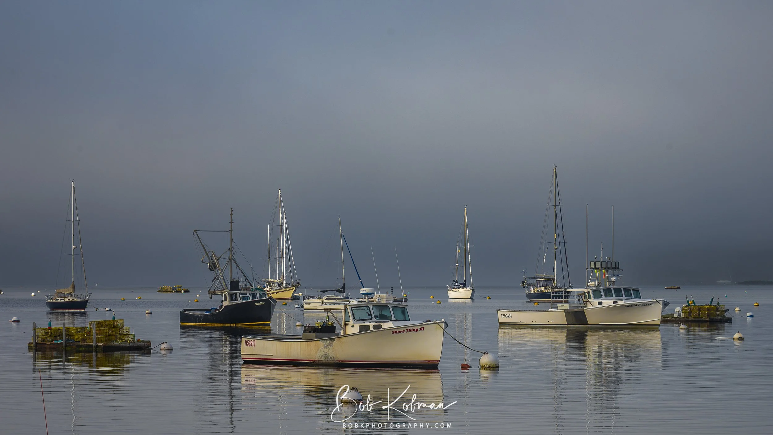 maineRecent-28.jpg
