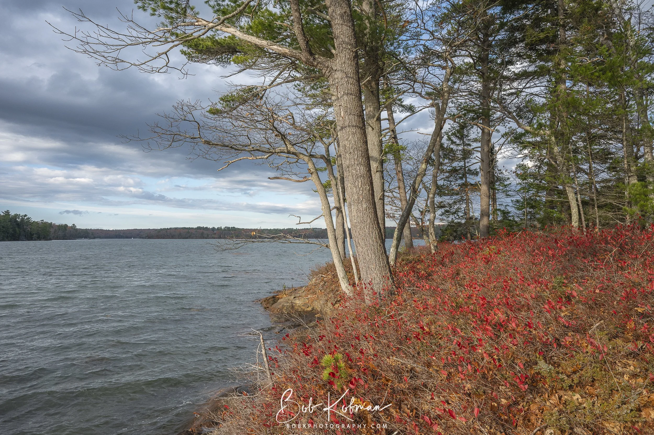 maineRecent-27.jpg