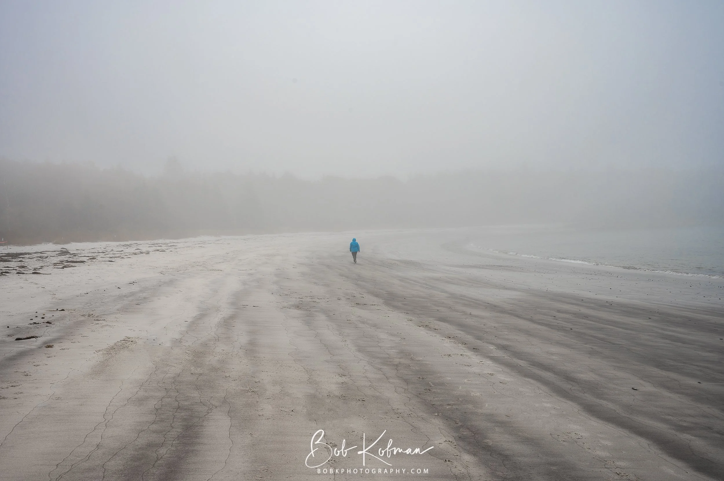 maineRecent-32.jpg
