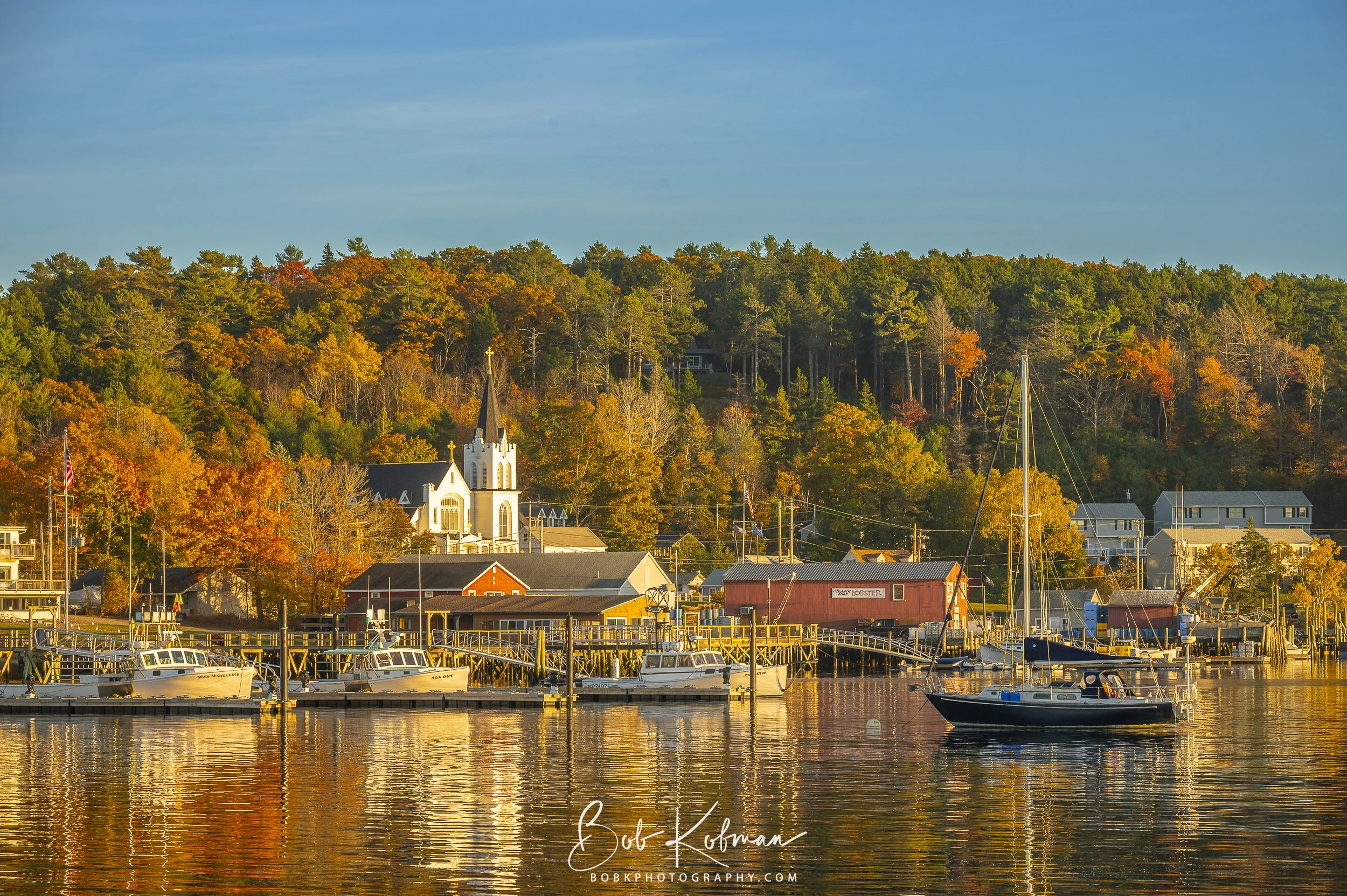 maineRecent-31.jpg