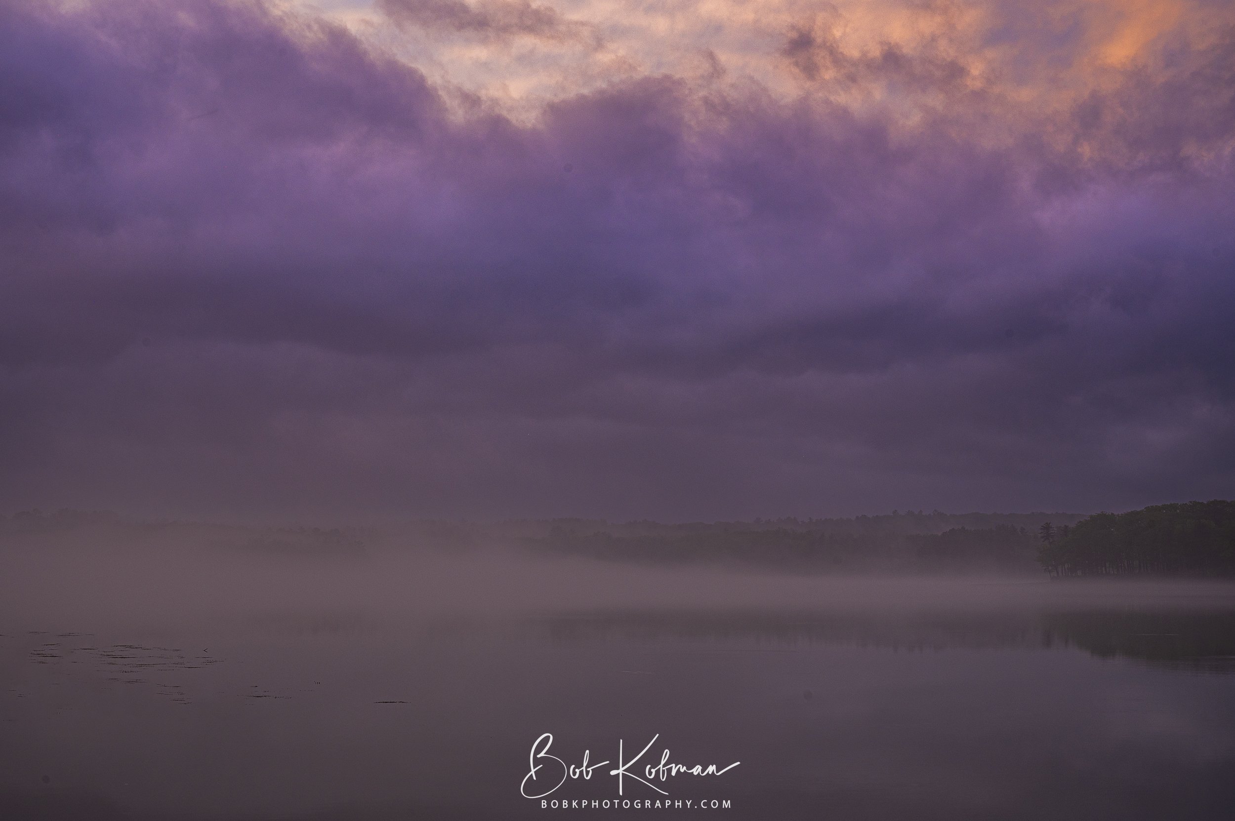 purpleHaze-21.jpg