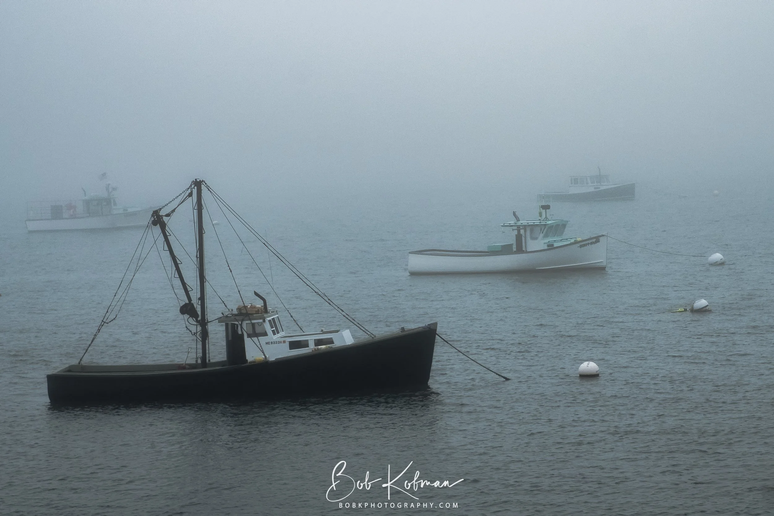 Maine-53.jpg