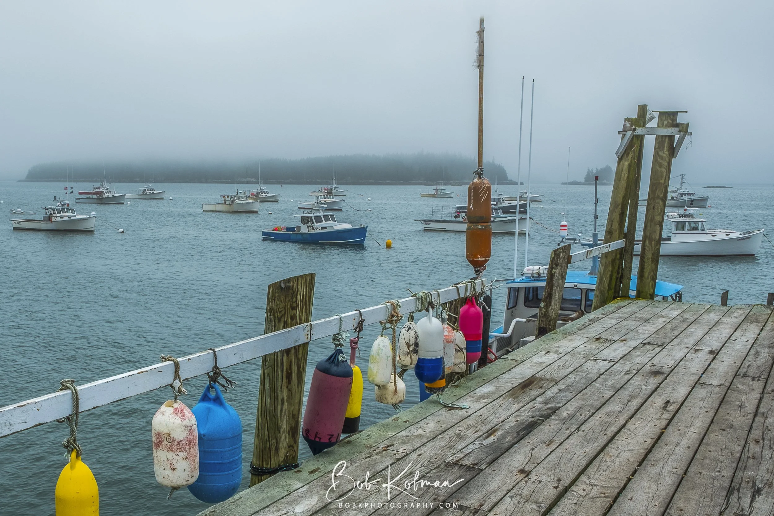 Maine-52.jpg