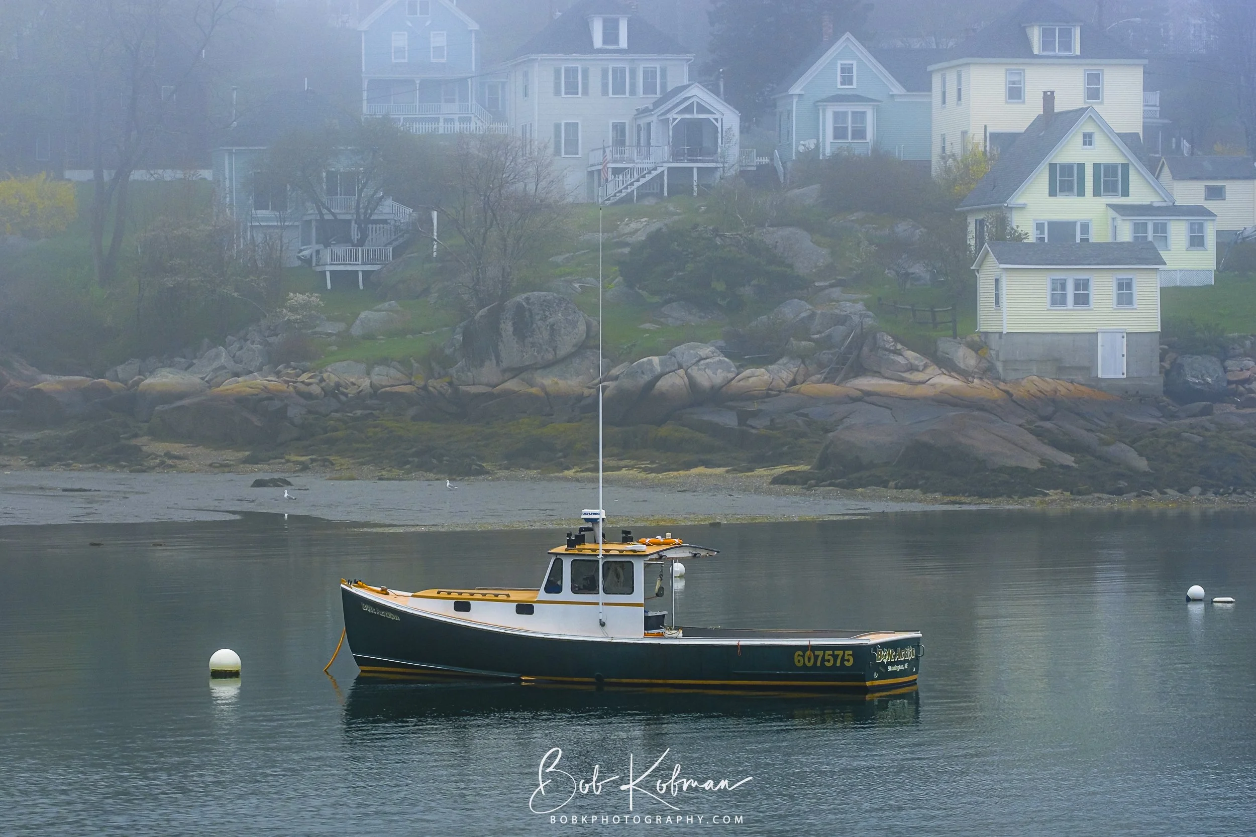 Maine-55.jpg