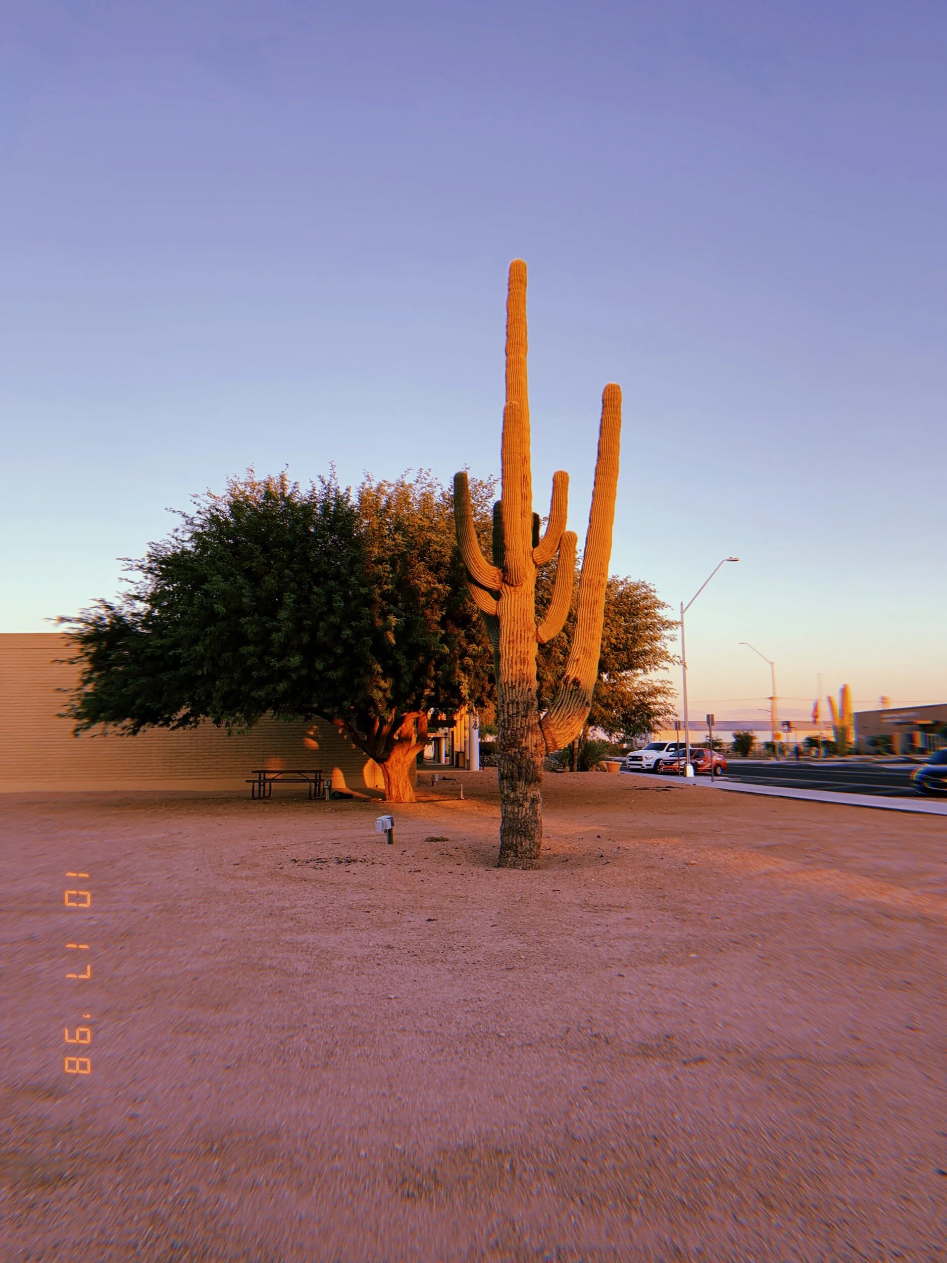 2019-10-17 17:42:53.504.jpeg