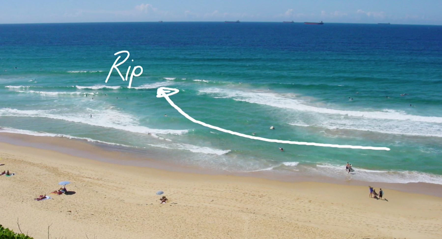 The Biggest Killer on America's Beaches — RWR Consultants, Inc.