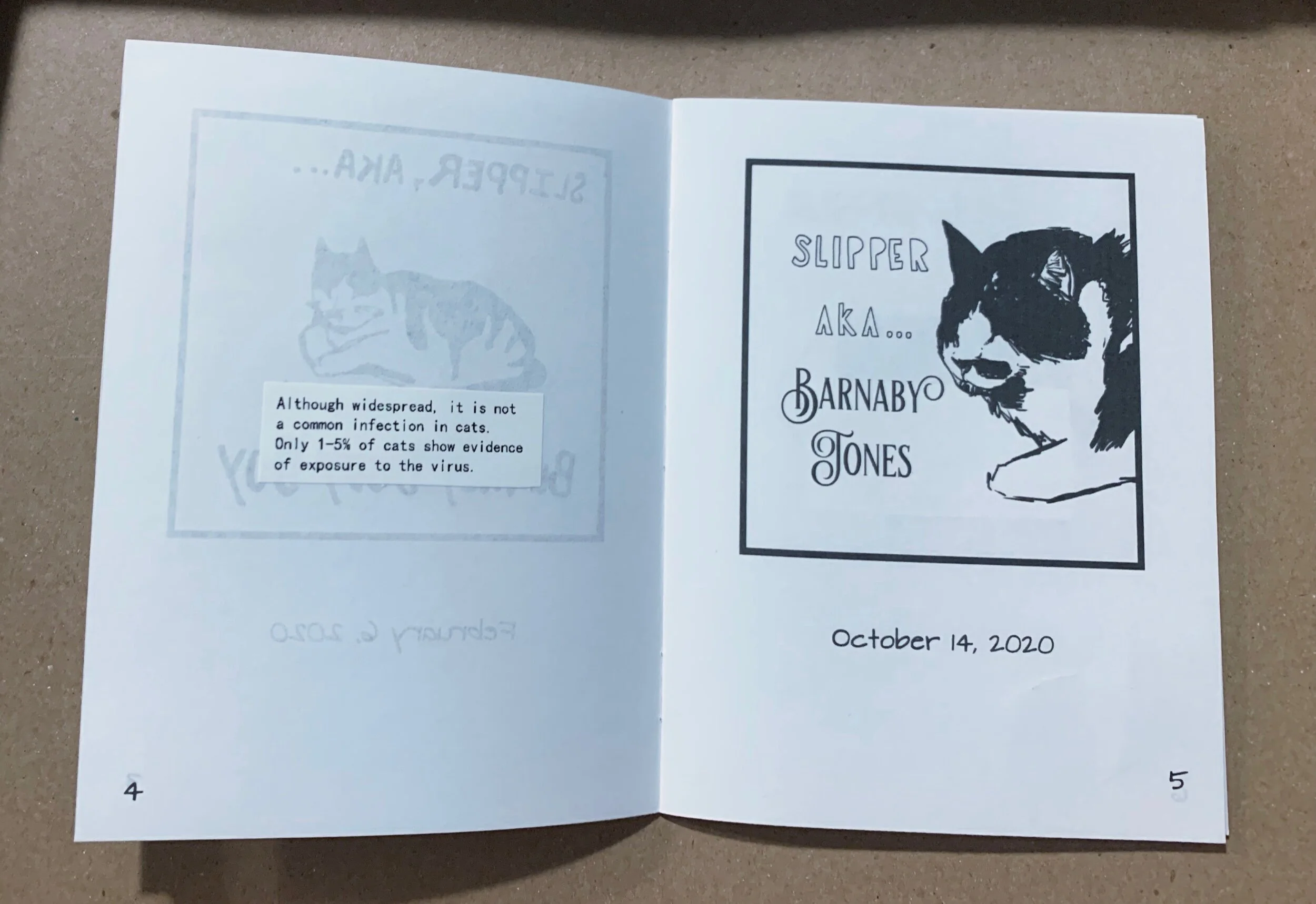 EFEA6171-50C7-448E-9C48-A35BBC55A952