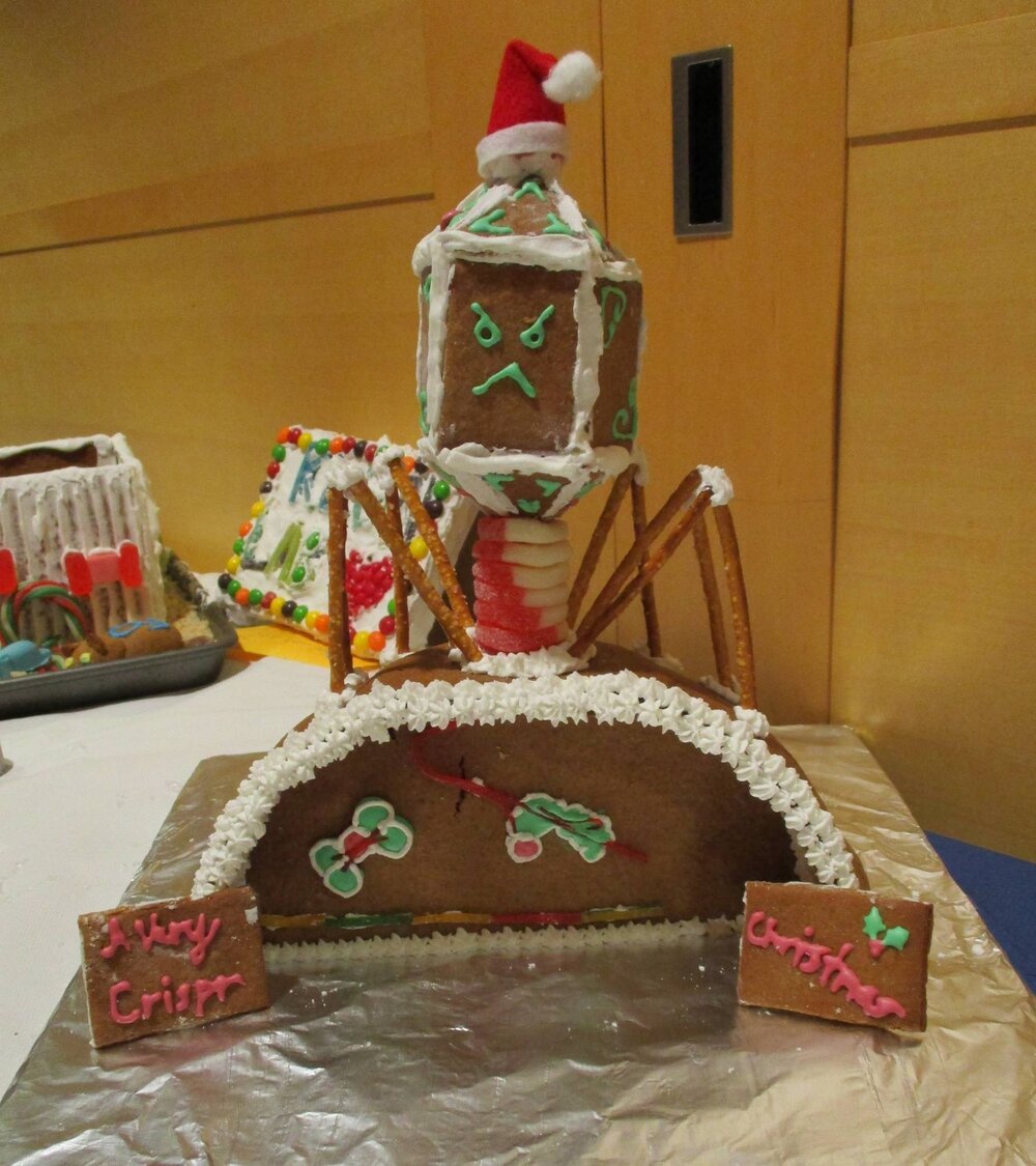  A geometric “phage,” made of gingerbread, frosting, pretzels and candy sits atop a gingerbread dome “bacterium” with a flat cross section showing DNA gummy strands and piped icing Crispr proteins. Two cookies read”A Very Crispr Christmas” 