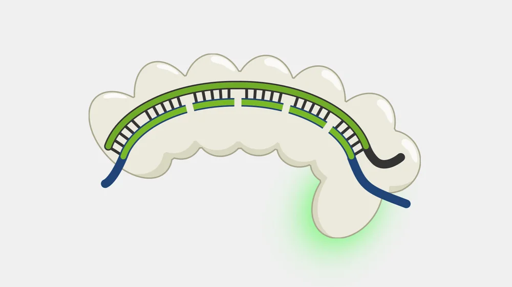 Type III Interference