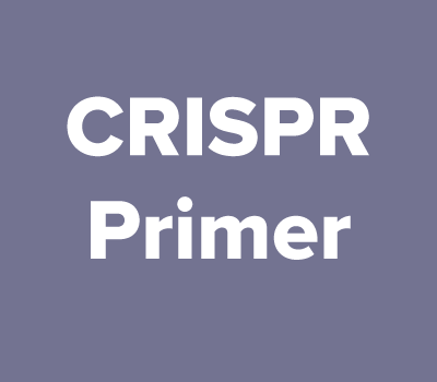 CRISPR Primer