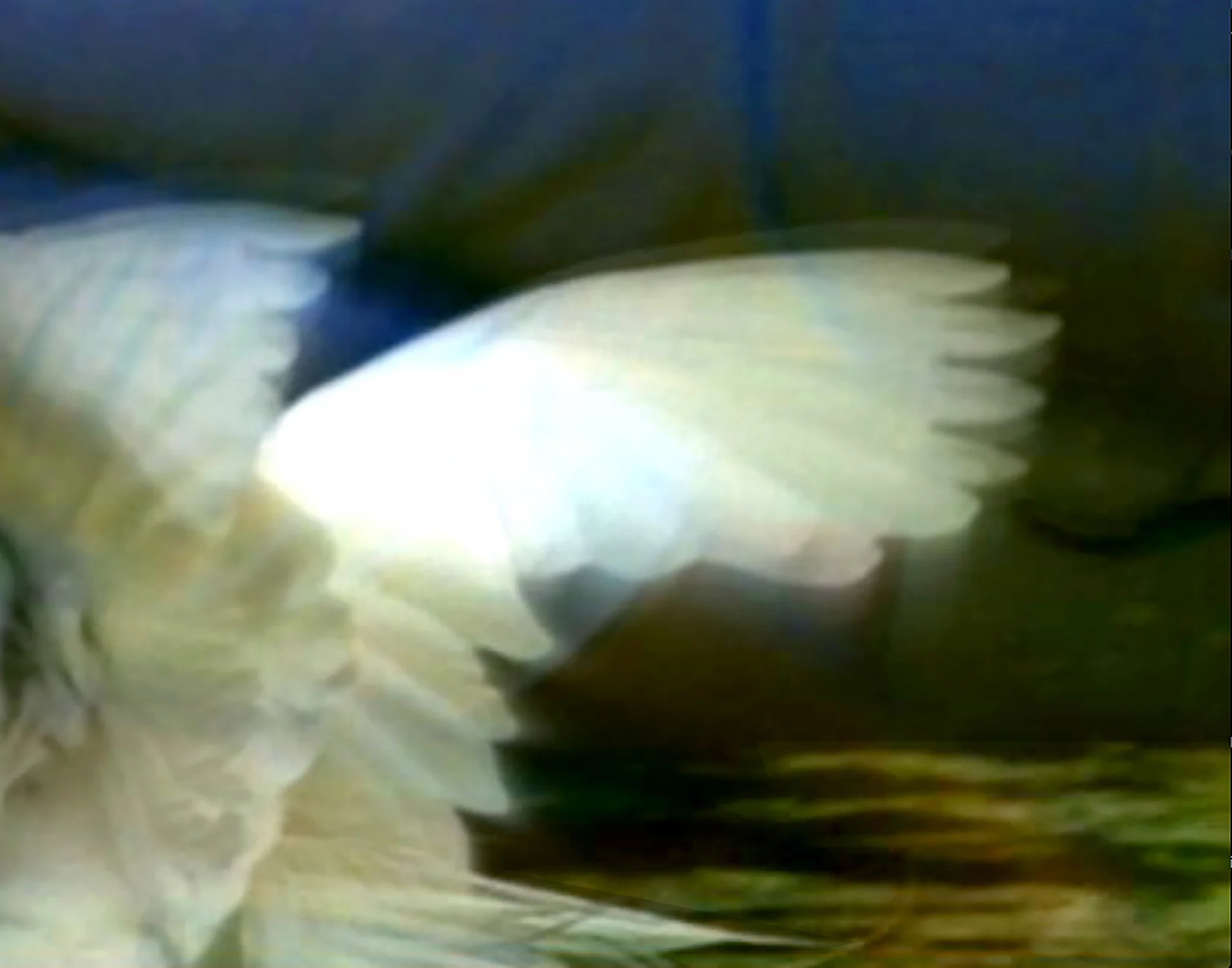 See or Seem.jpg