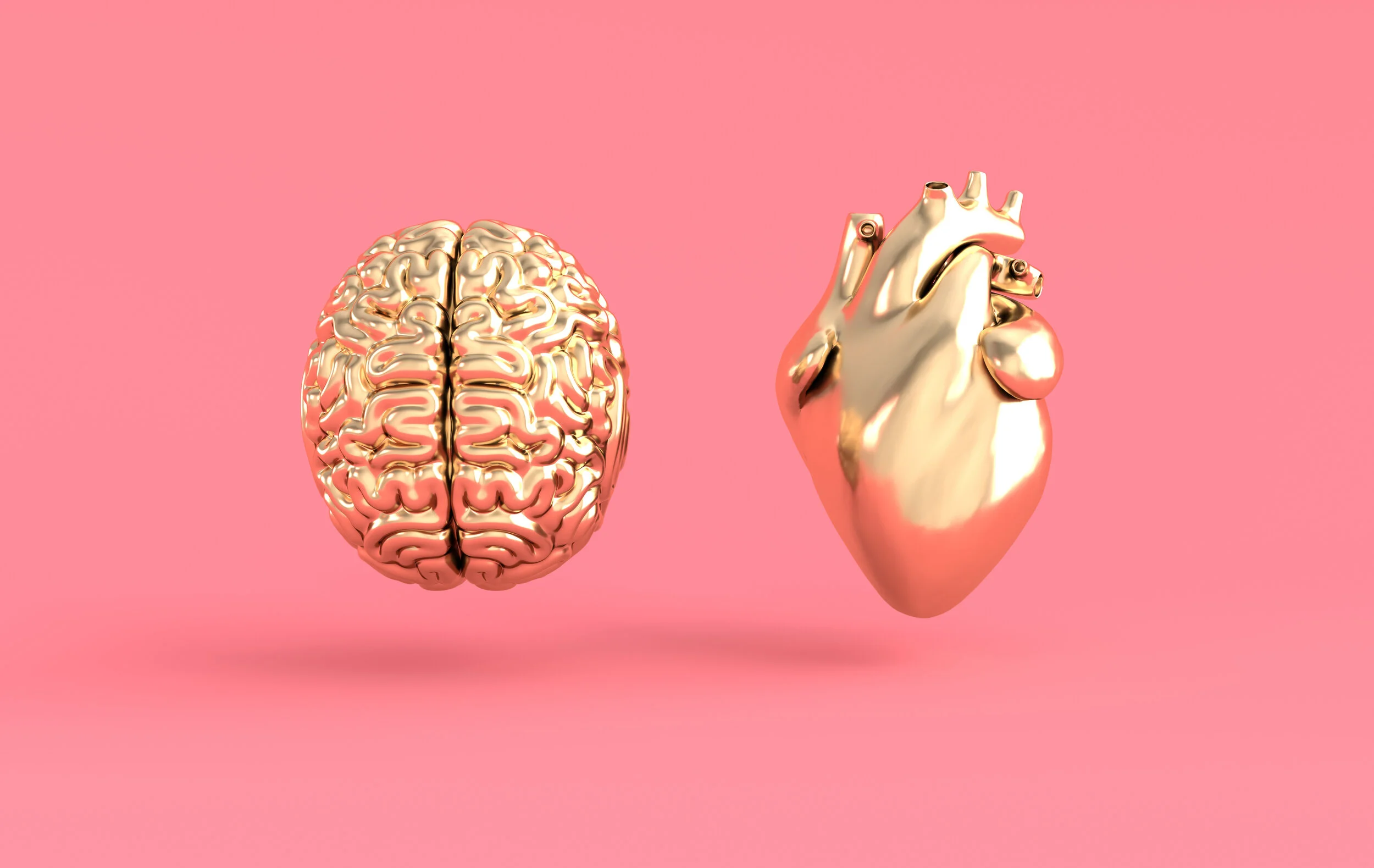 Golden 3D models of a brain and heart