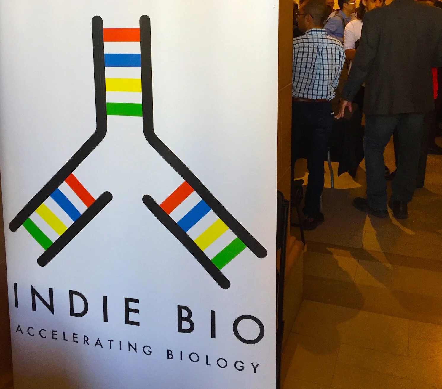 INDIEBIO