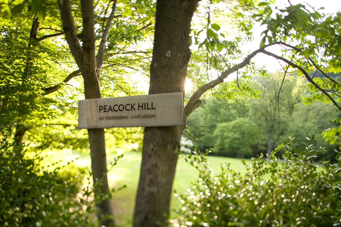  Peacock Hill Residence - Peacock Hill 