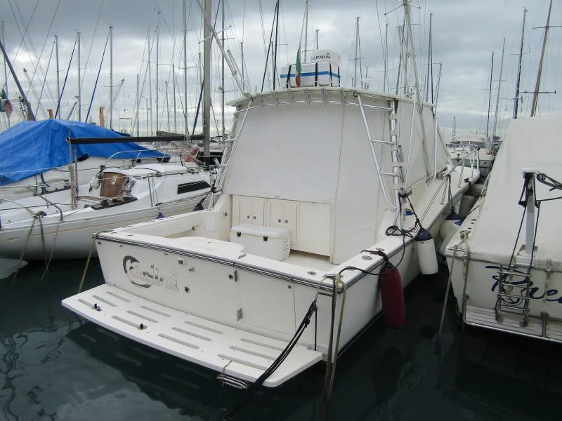 Carolina 35