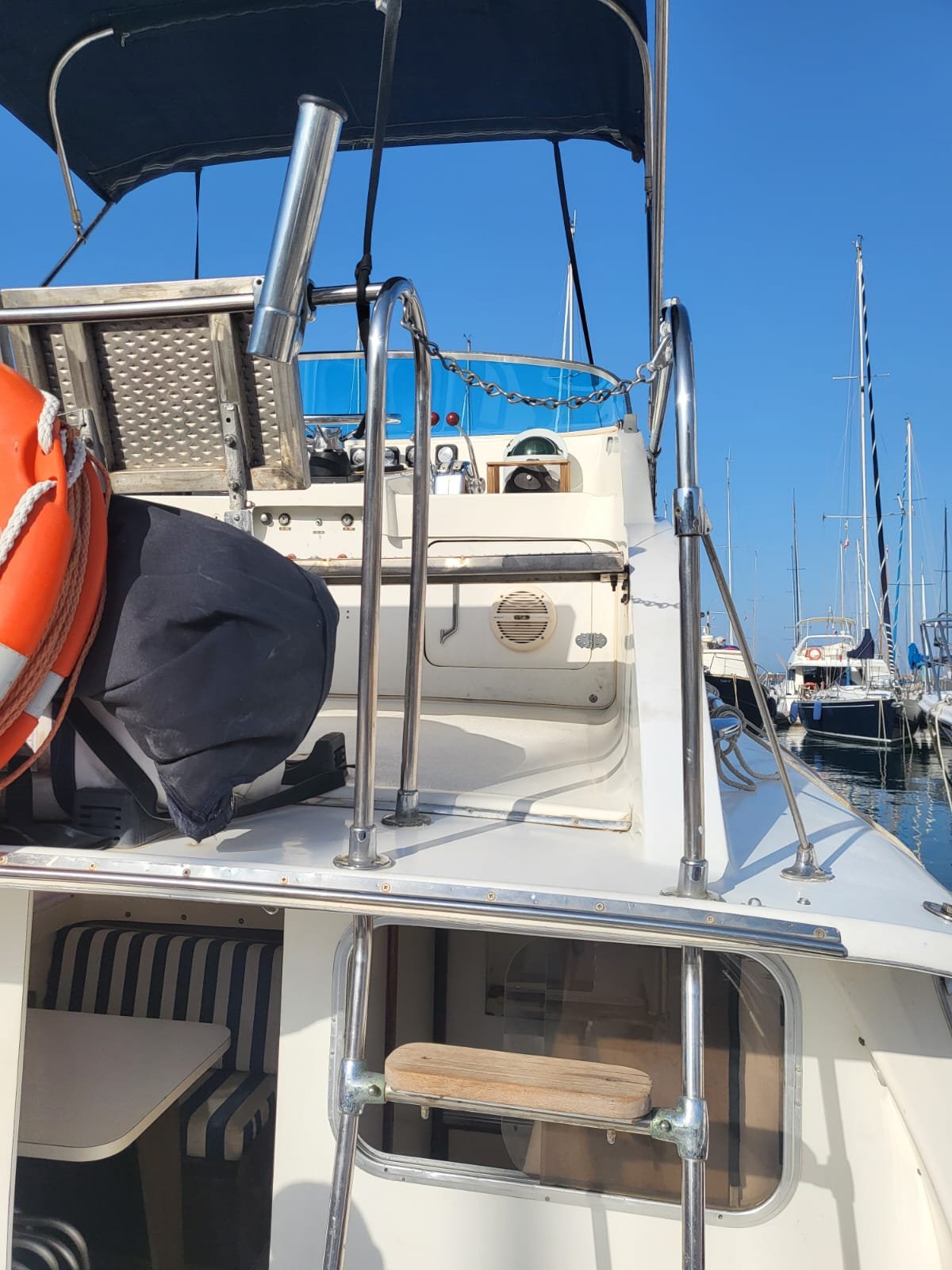 Bertram 31