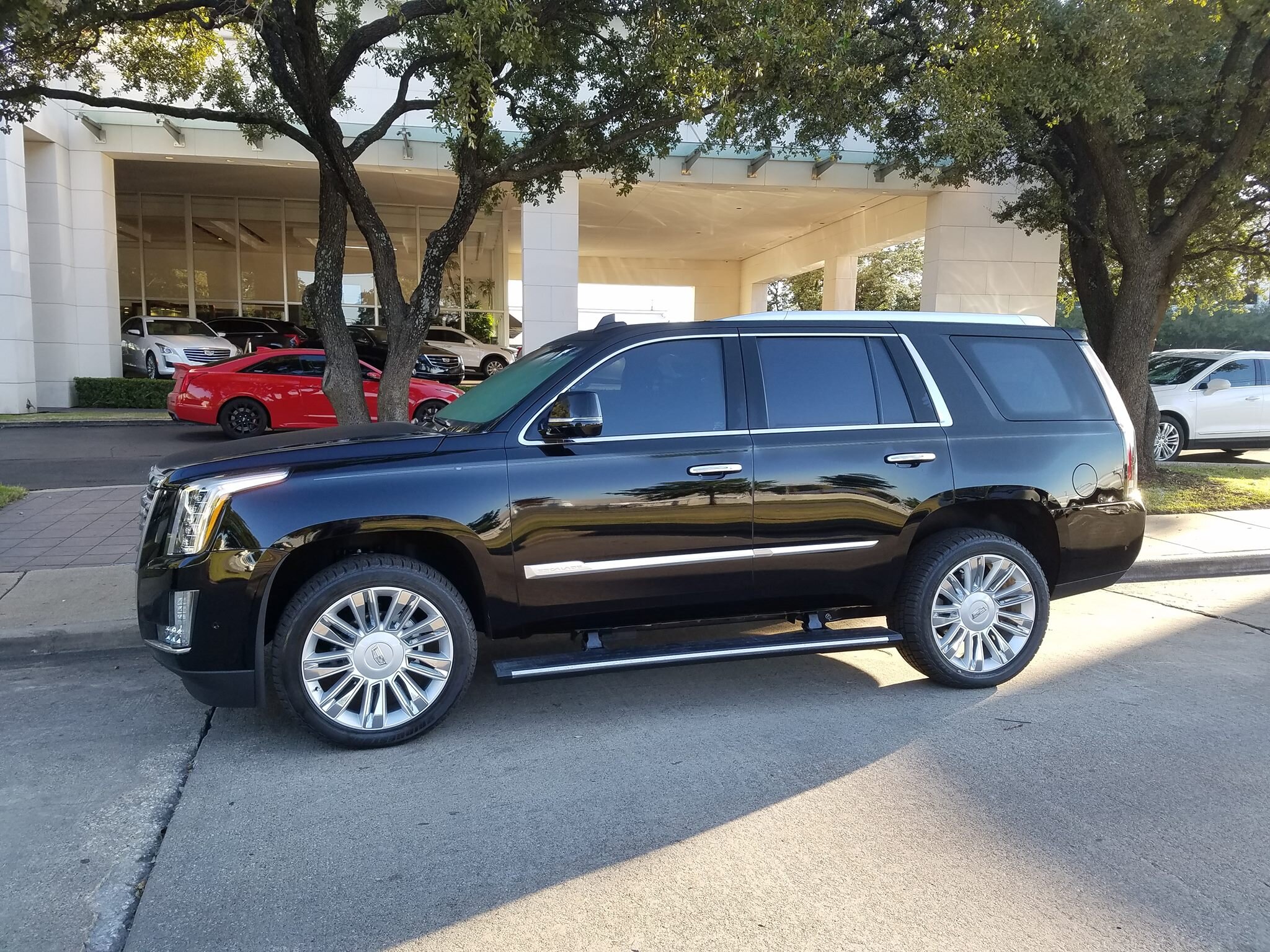 Escalade black short.jpg