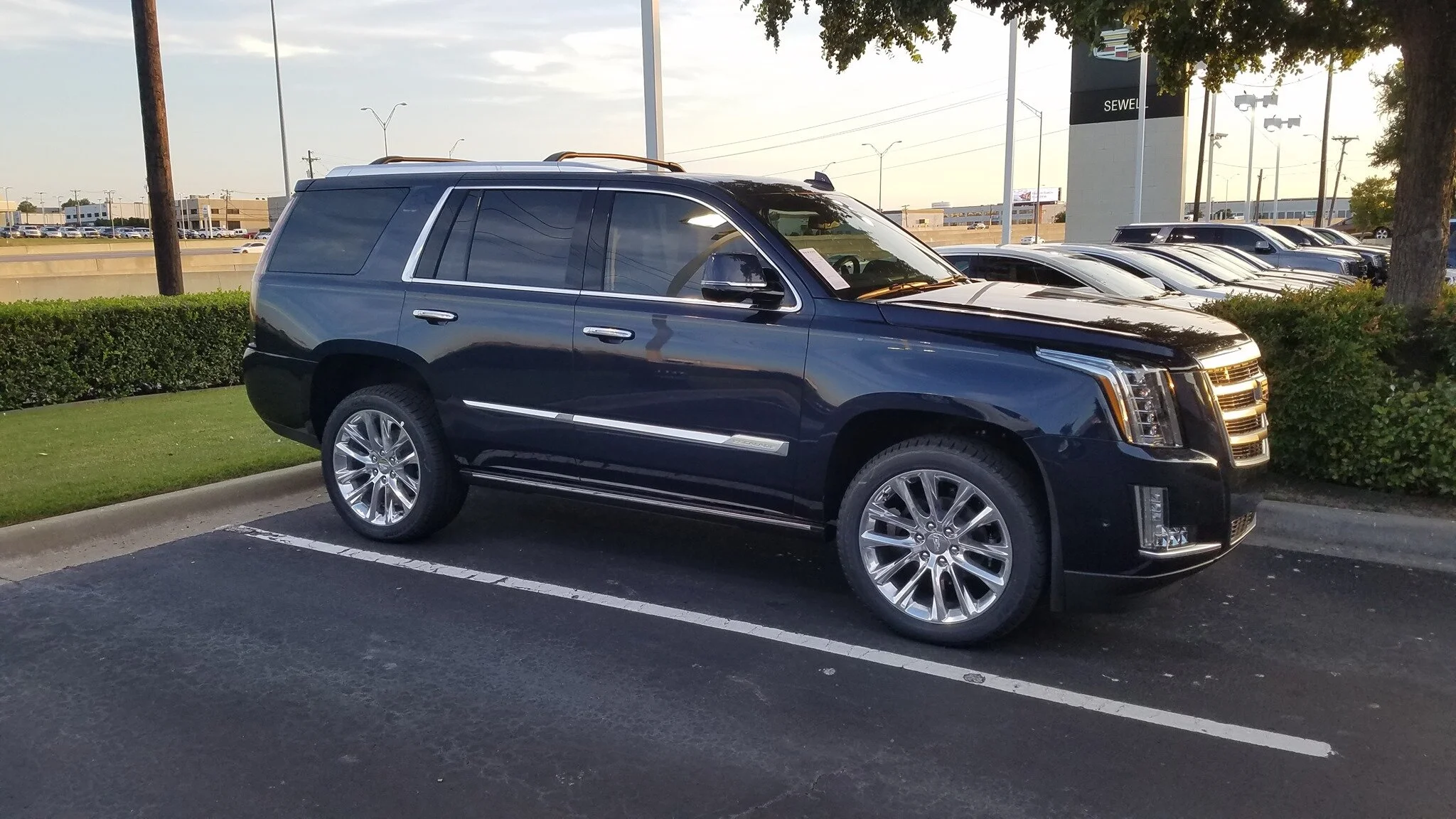 Escalade Blue 2.jpg