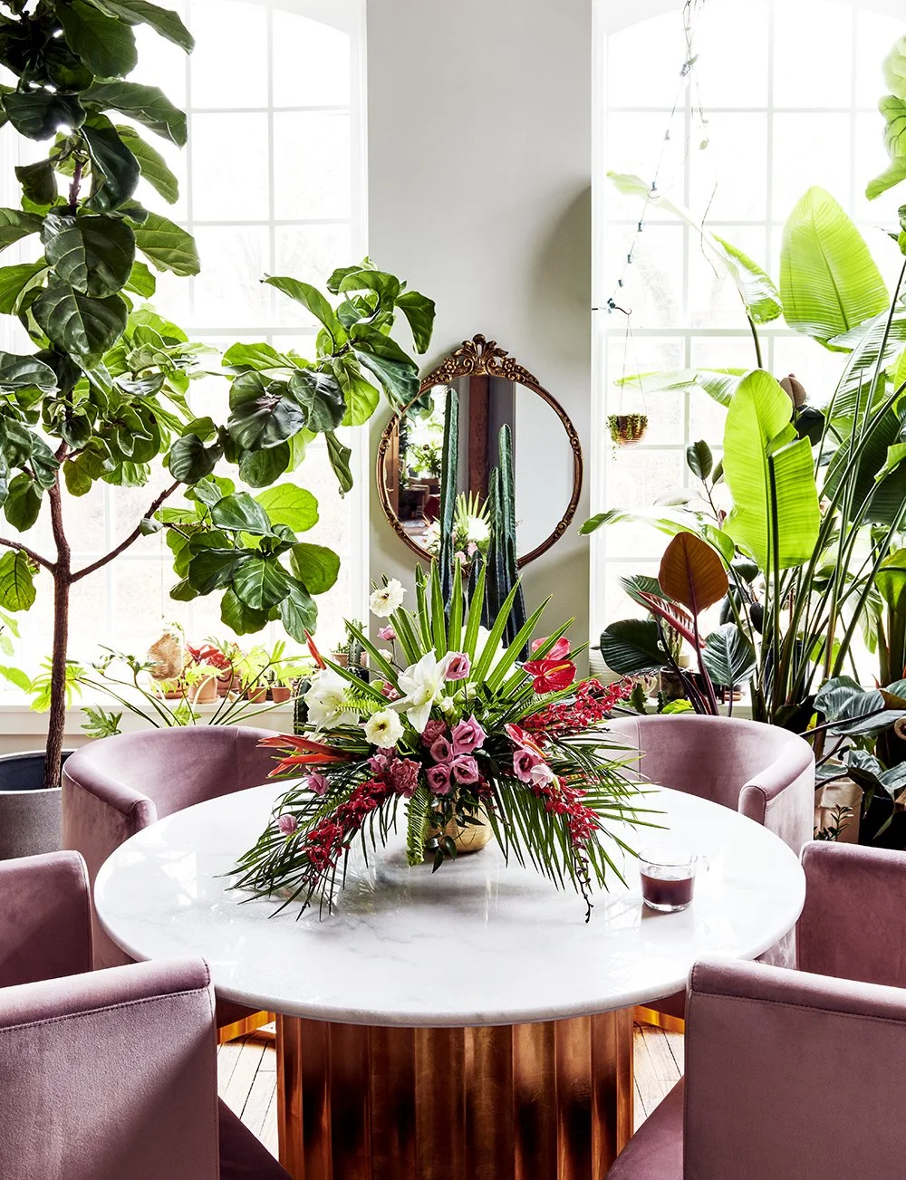 RRED_Plants.jpg
