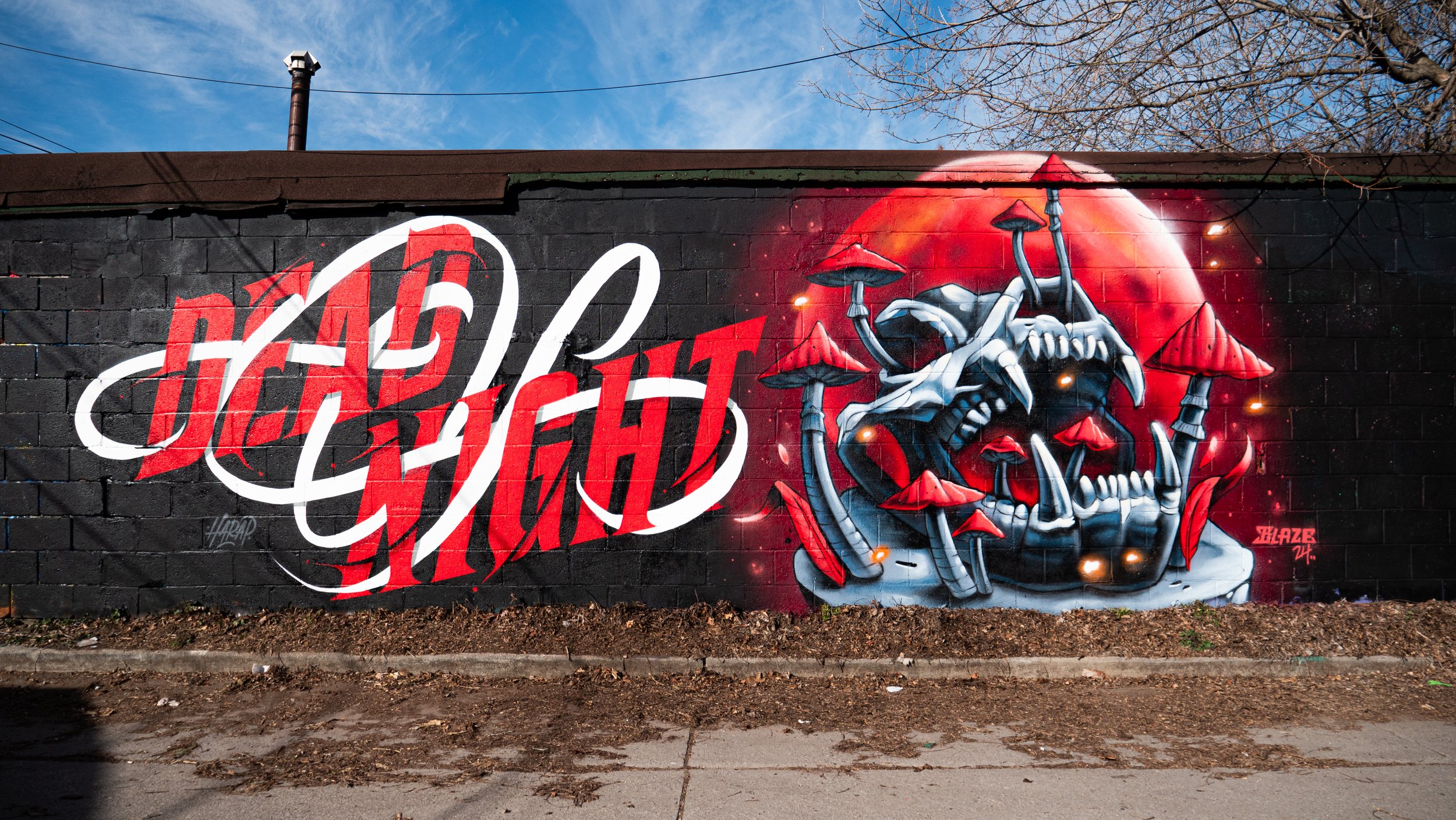 Collaboration with Cameron Harap