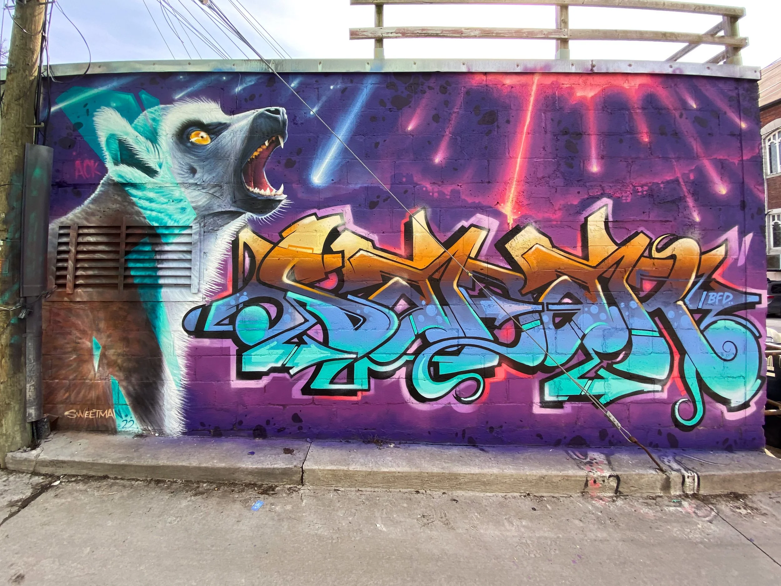  Collaboration with Nick Sweetman 