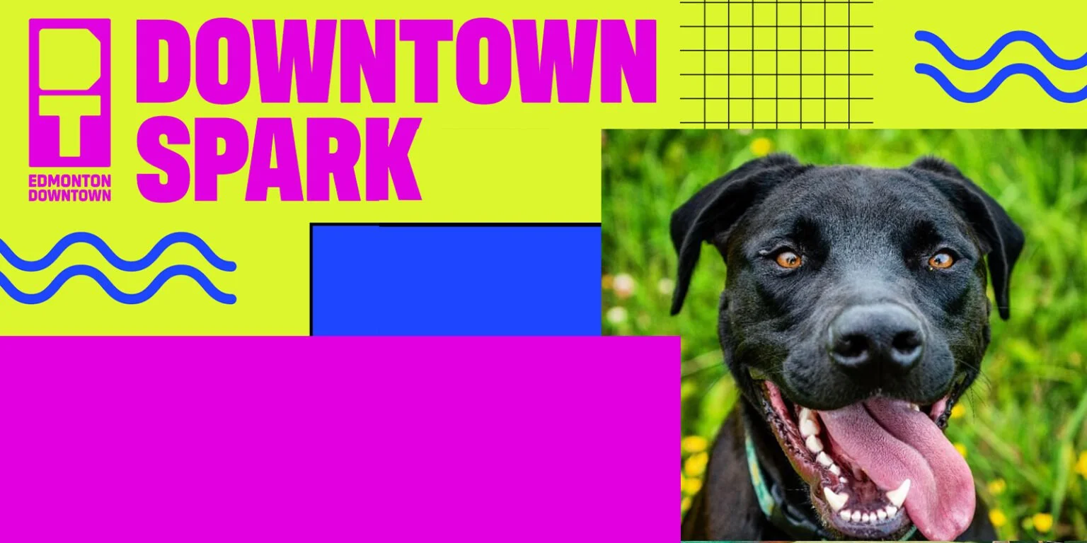 Downtown Drag - Edmonton's Downtown Spark supported by the DBA