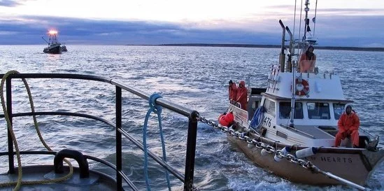 Empowering NMFS Data Champions: In Appreciation of the Agency’s Fishery Information Systems Program