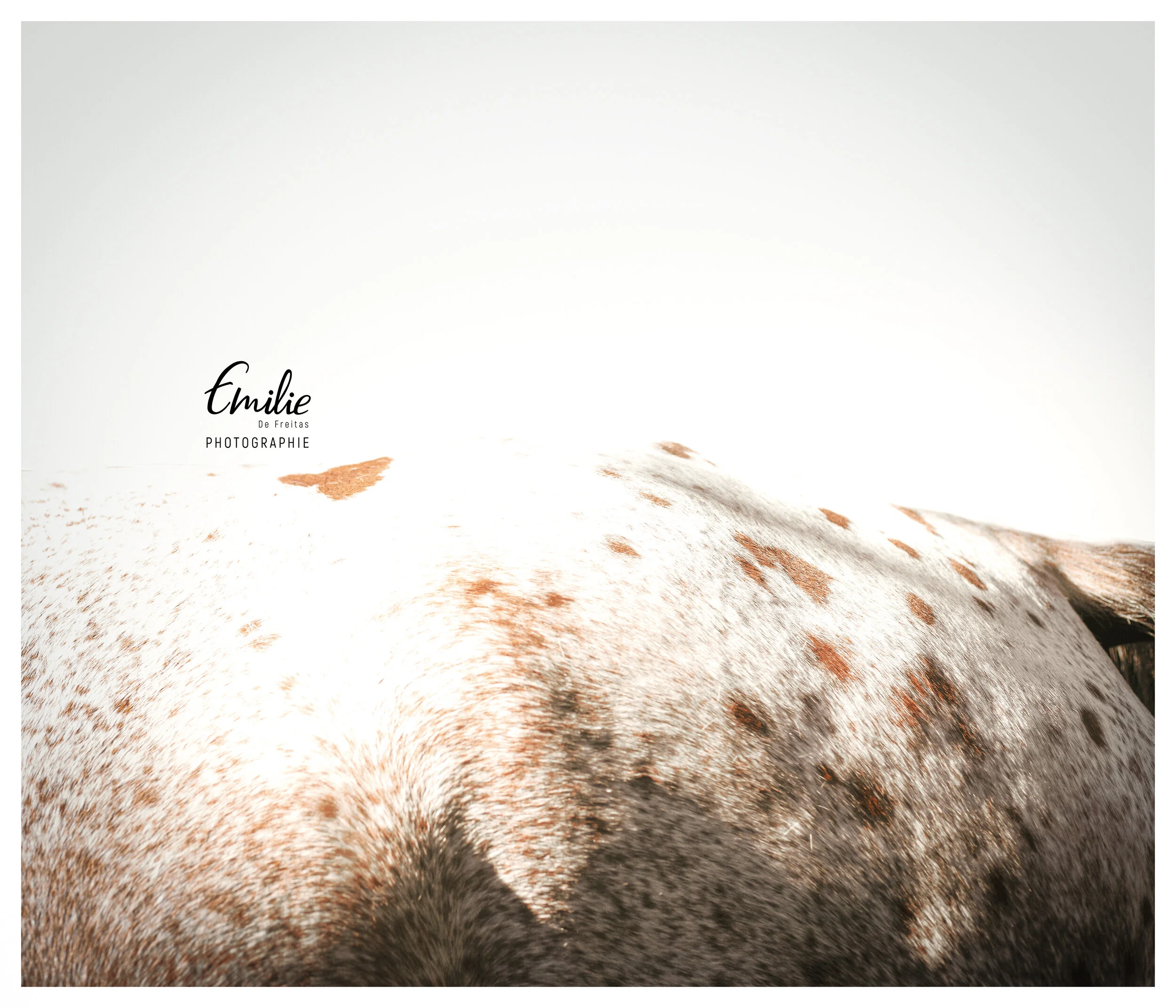 Seule