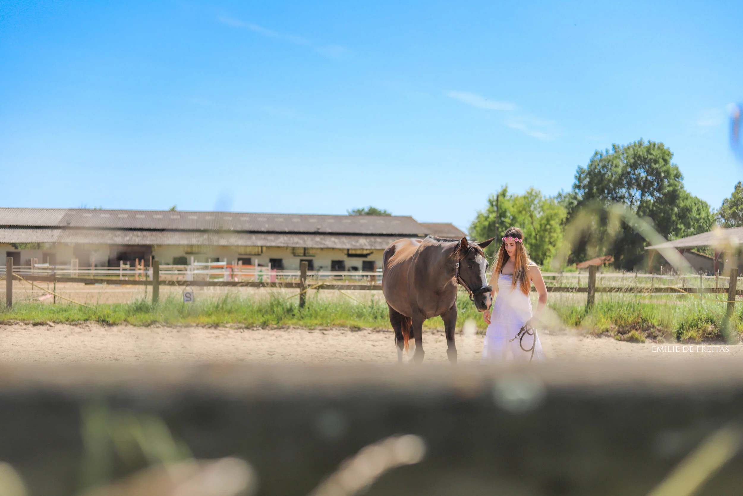 Photographe de feeling : comment je cadre et compose mes images 