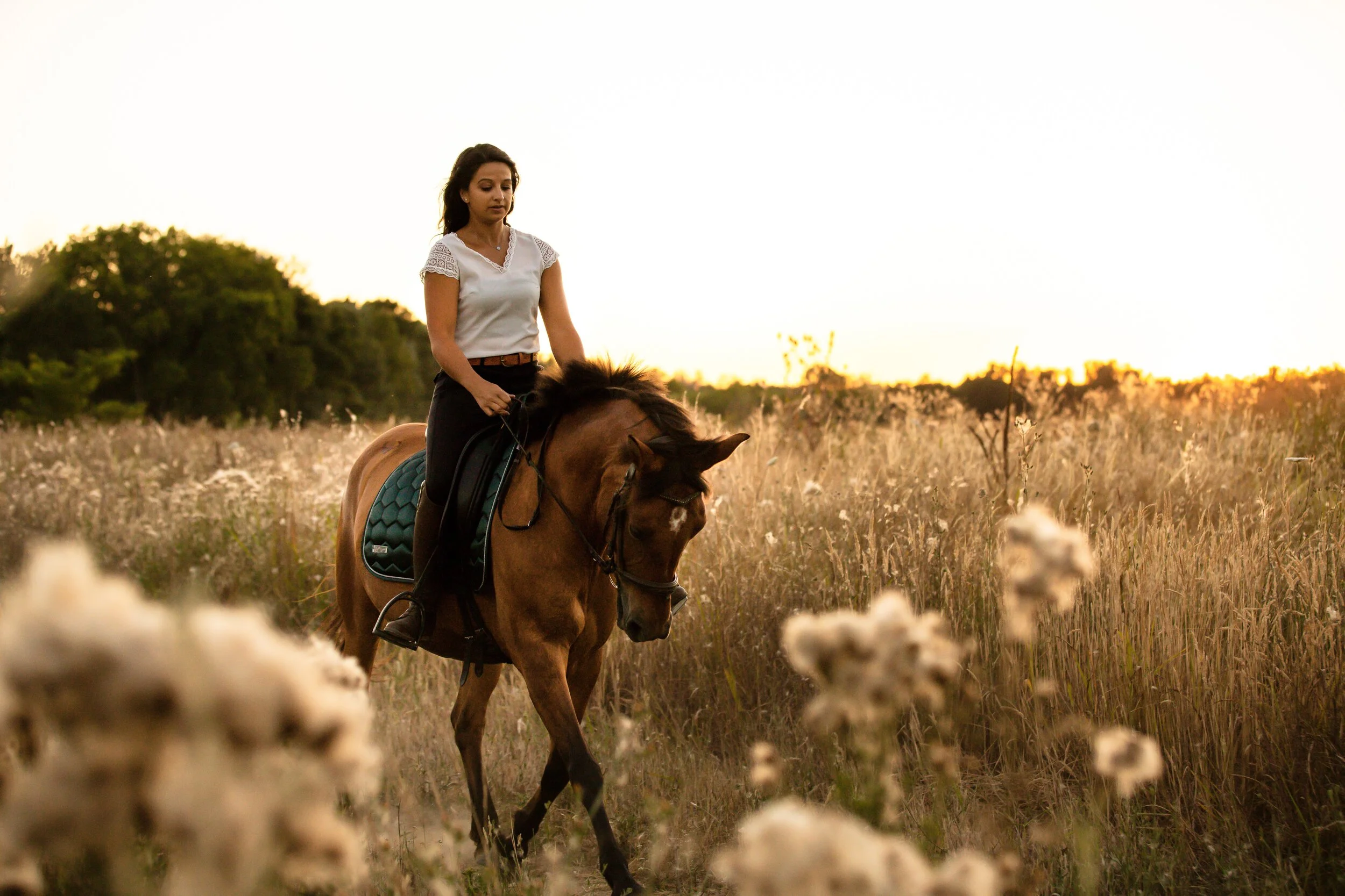 Où trouver la motivation ?