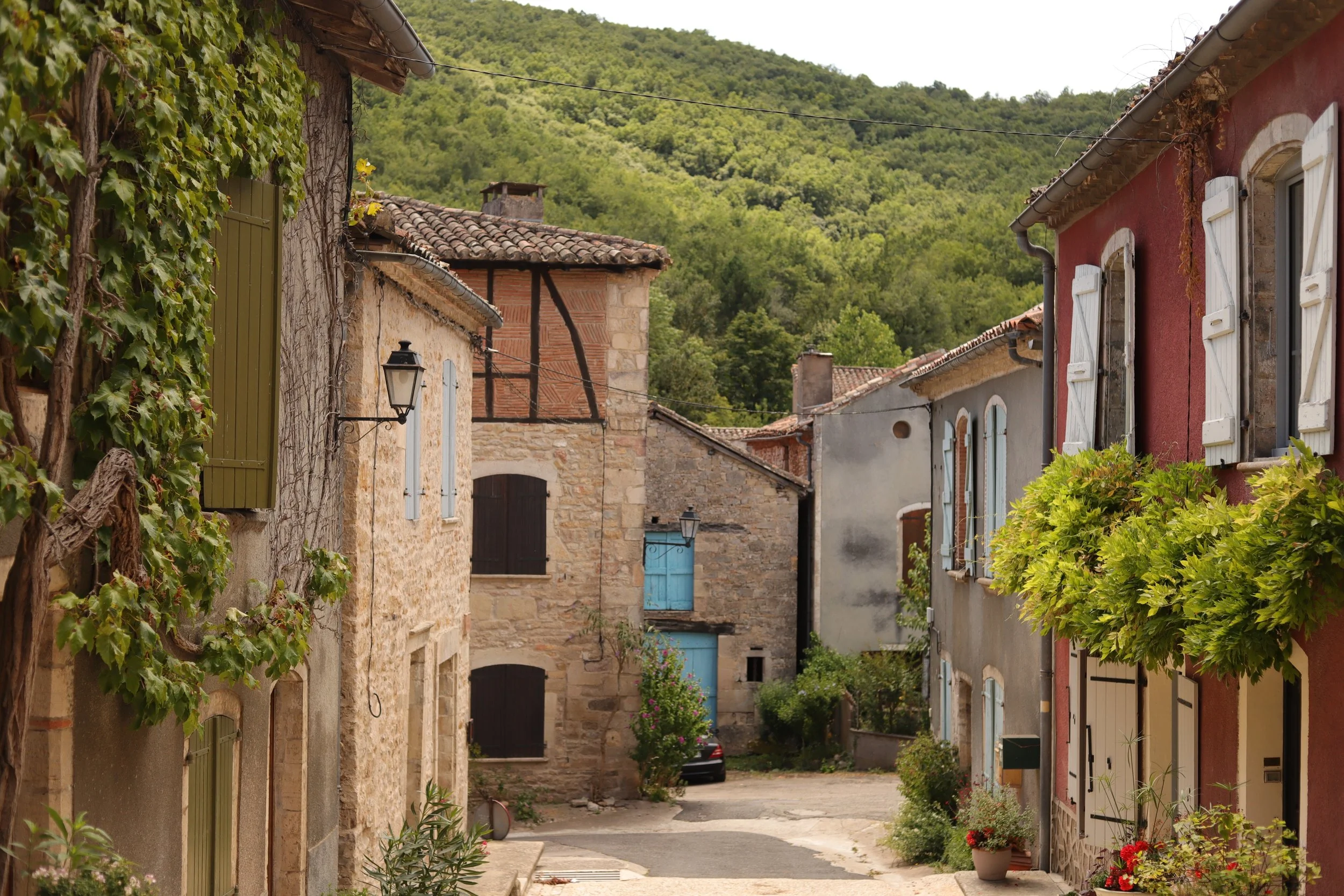 Où se balader/randonner ? Le choc des Tarn (81/82) - partie 1