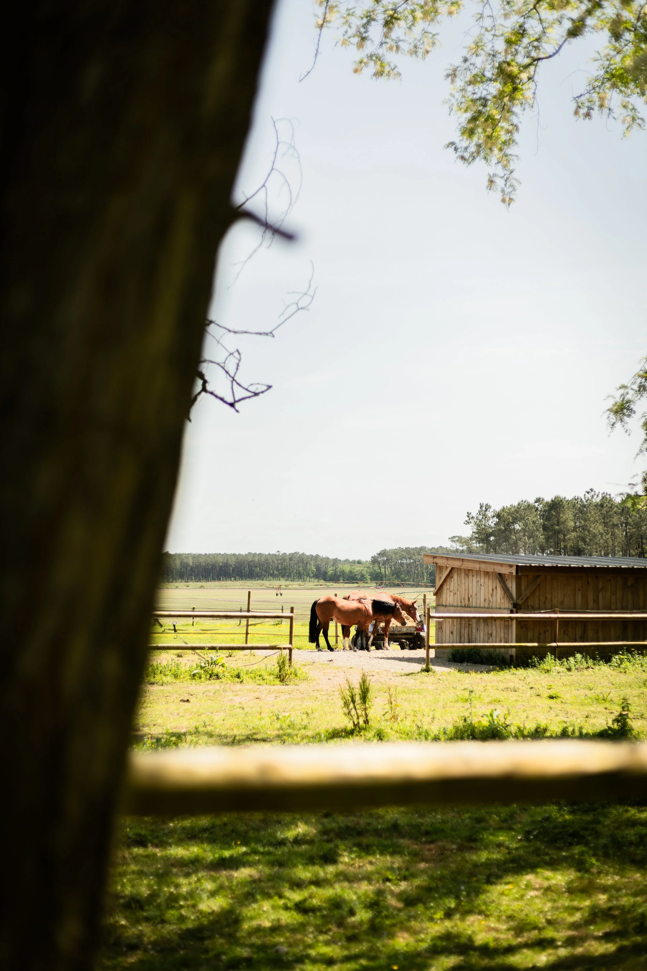 Ranch Kabahina par Emilie De Freitas