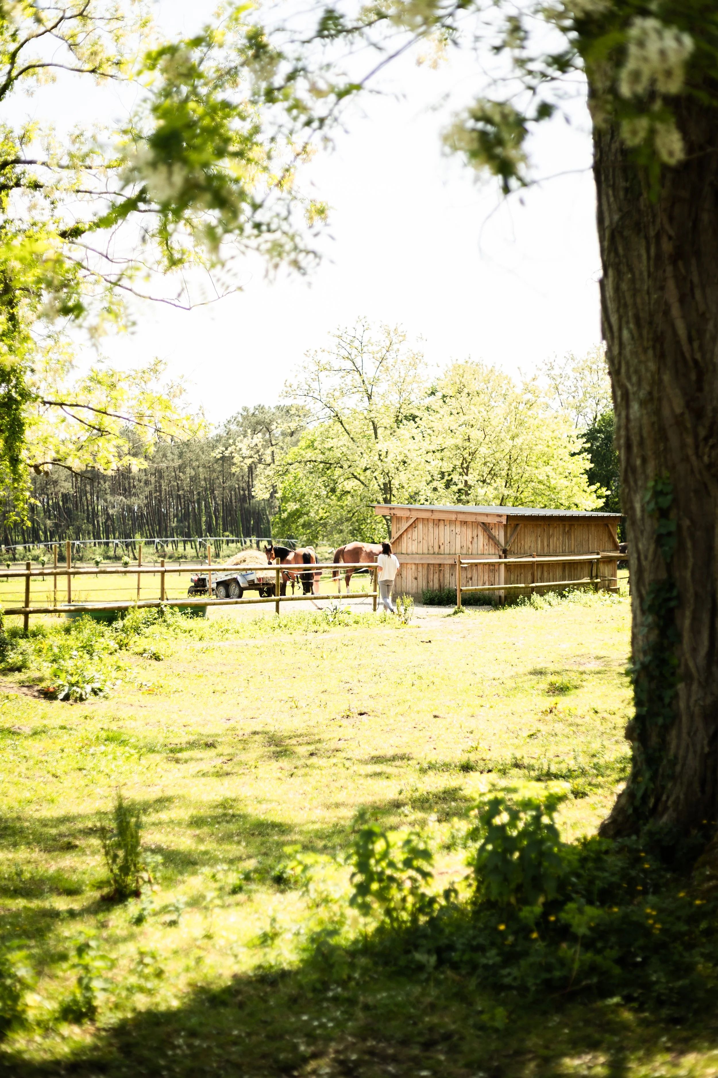©Emilie De Freitas Photographie-8.jpg