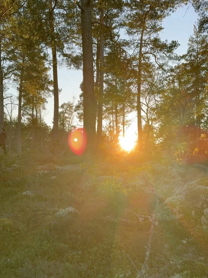 A few things we decided against this Xmas:

1. No presents - a climate scientist and a healer, living through a second unseasonably warm winter in Sweden, our gift to the earth is no gifts for us. 🌍💚 

2. No xmas tree in the house - every year we c