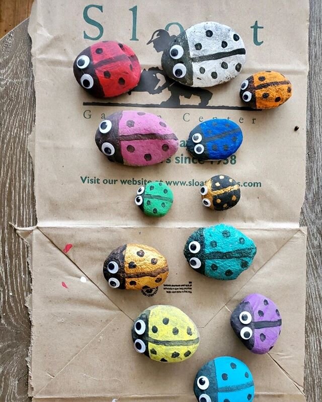 If you need stay at home art ideas, here are some cute painted Ladybug rocks. #shelterinplaceart #marincounty #marin #recycledart