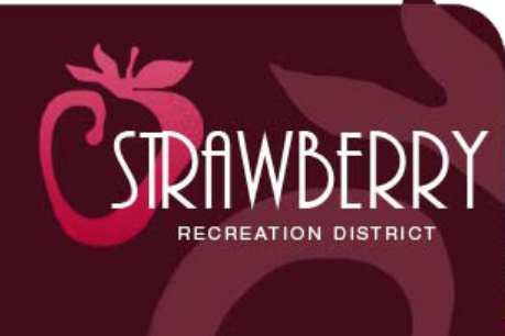 strawberry rec.png