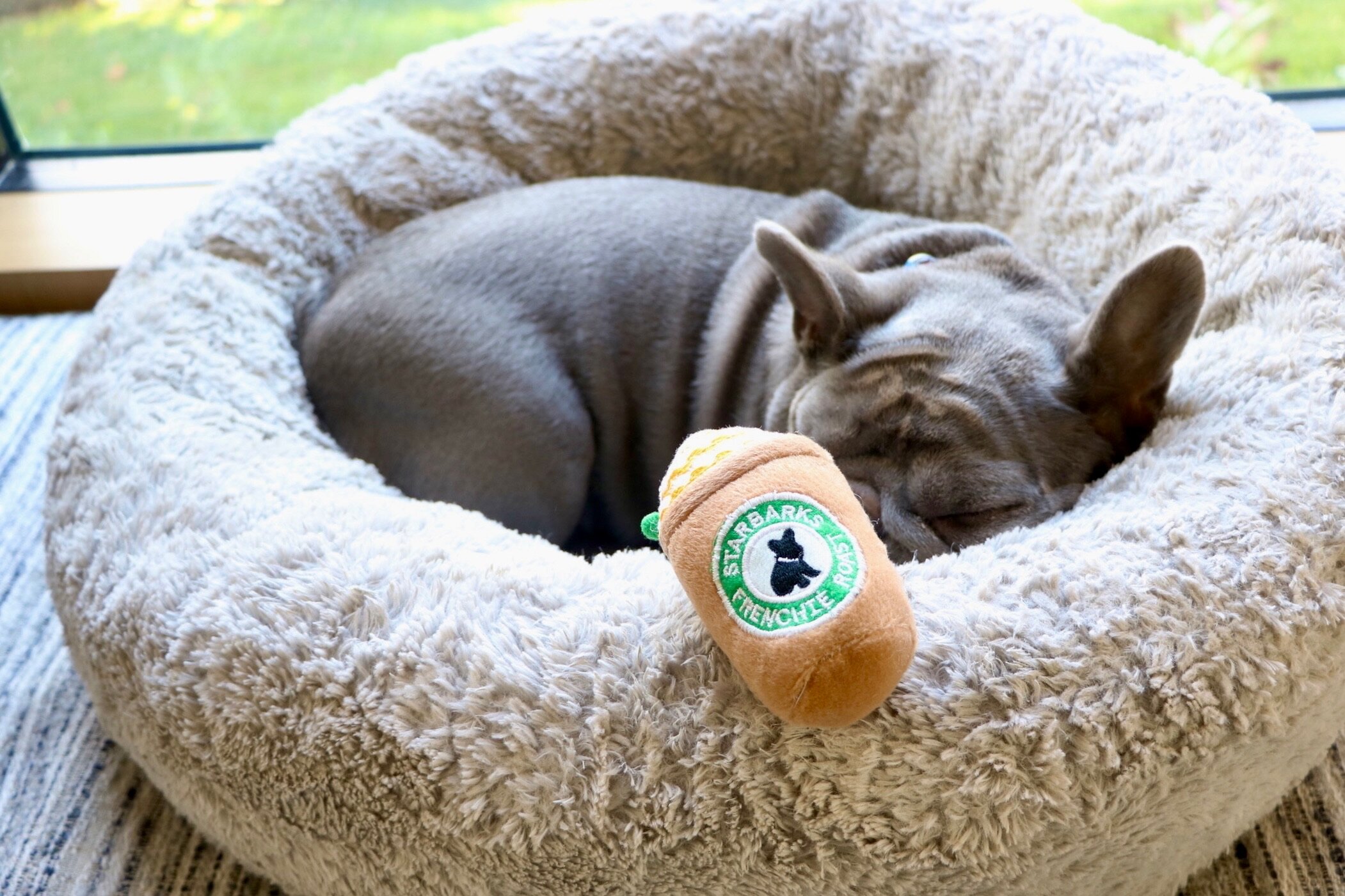 A7C00F6F-1C36-497C-B1B3-D61B76991044