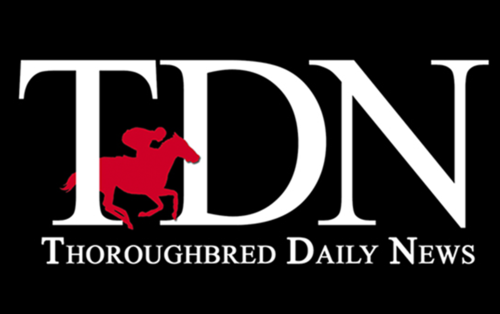 A collective vision to revitalise the Tote